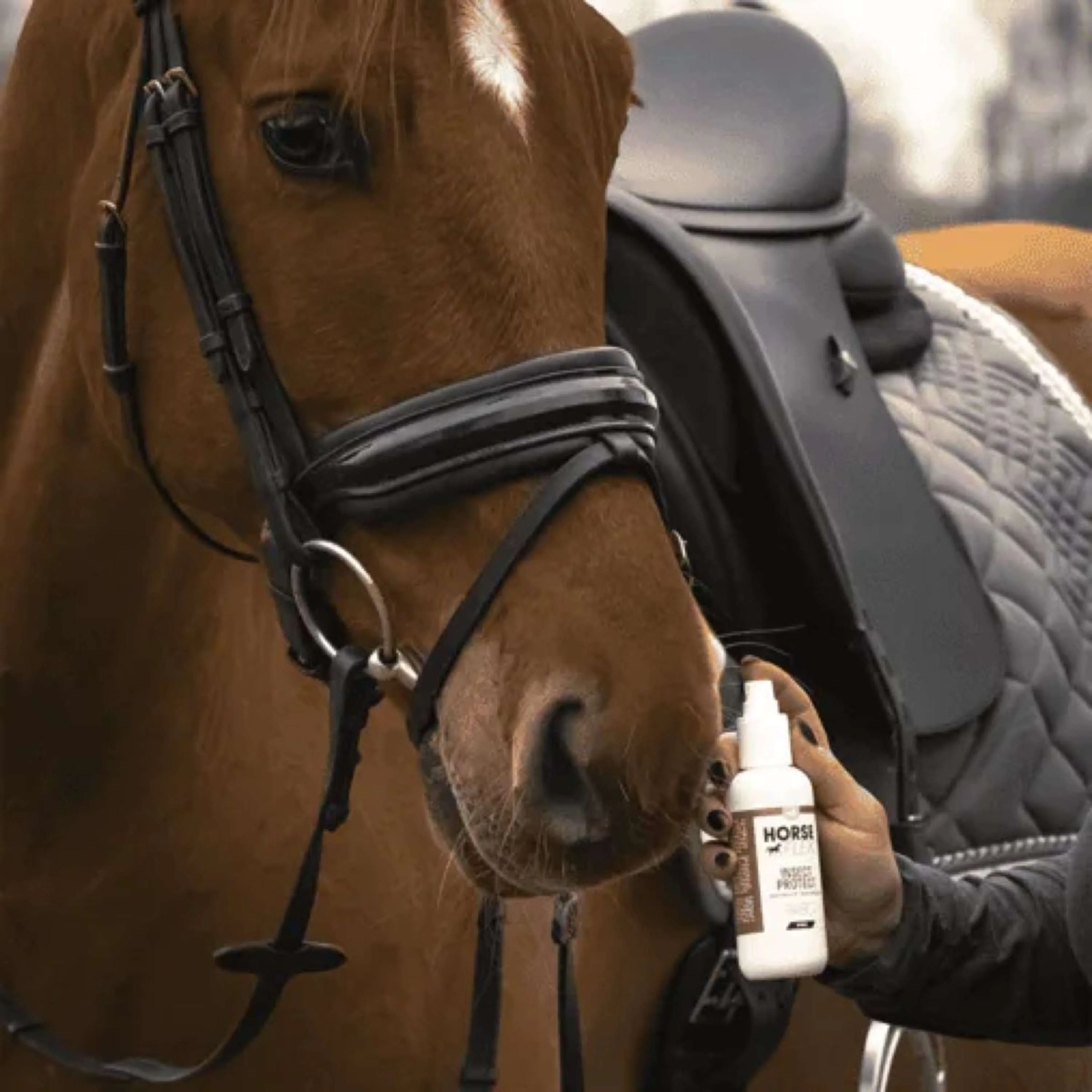 HorseFlex Insect Protect Spray - Image 2