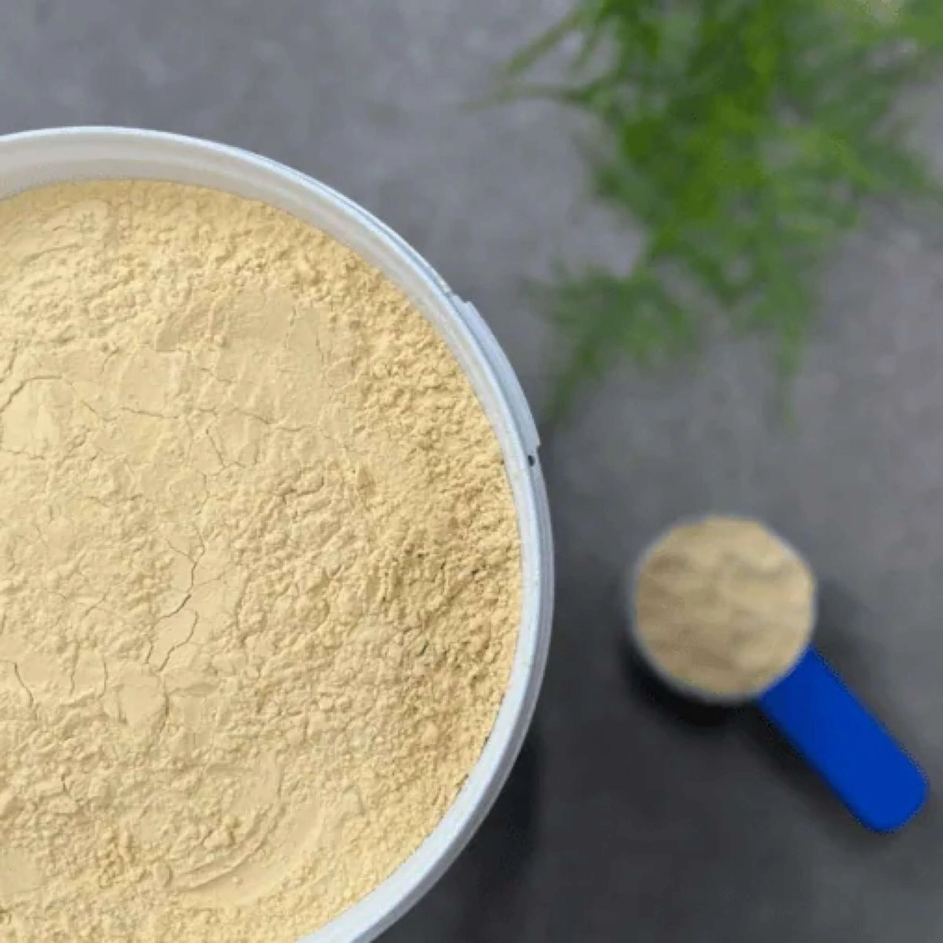 HorseFlex Protein Power Recharge - Image 3