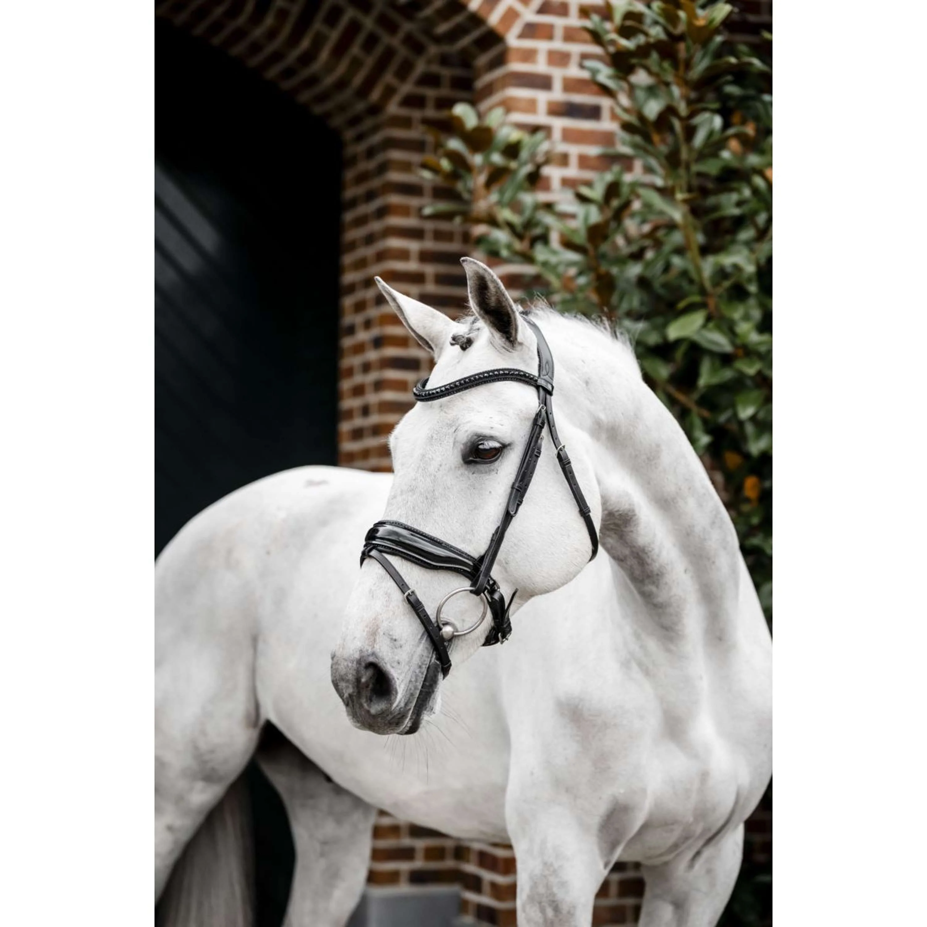 Horseware Bride Diamante Noir - Image 3