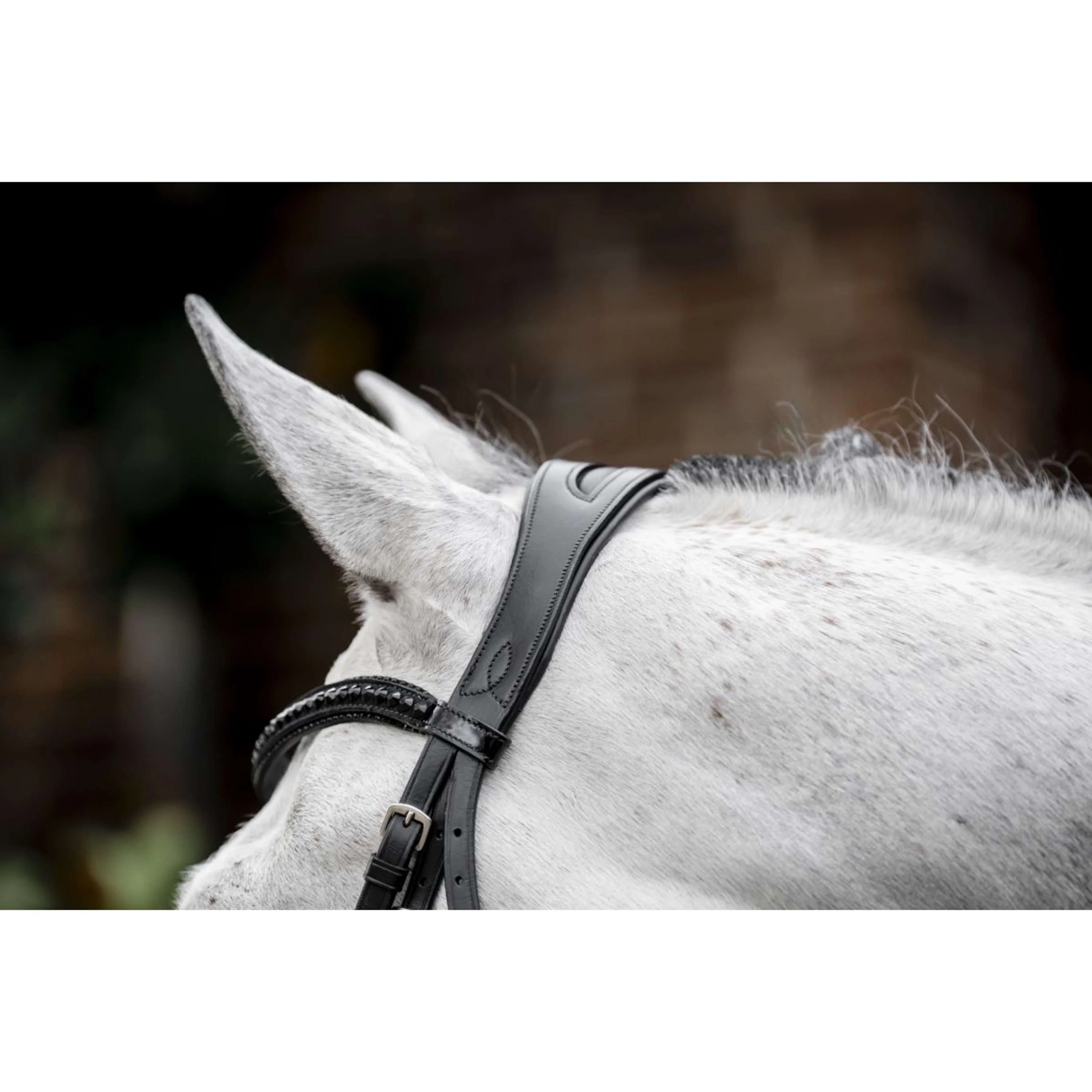 Horseware Bride Diamante Noir - Image 4