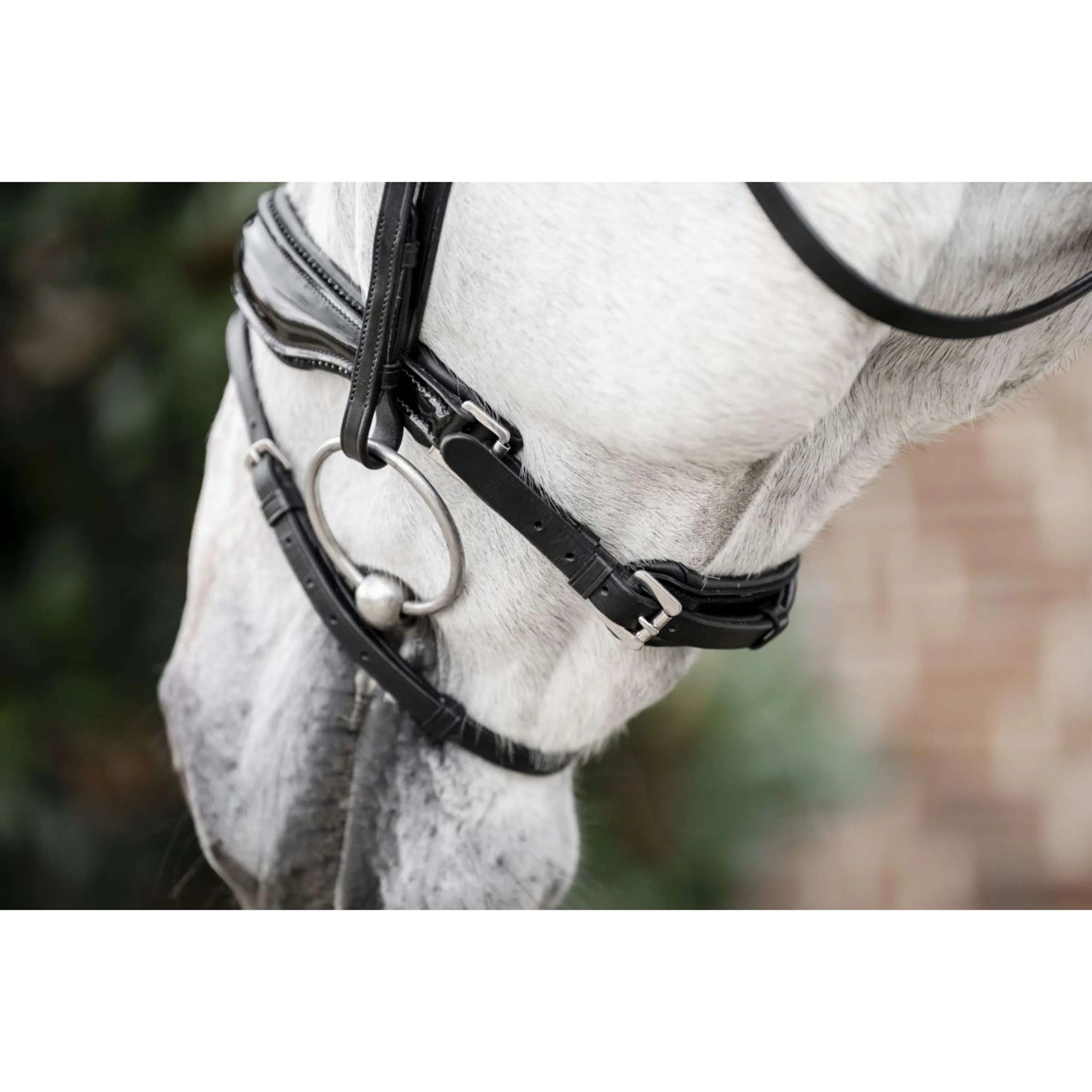 Horseware Bride Diamante Noir - Image 5