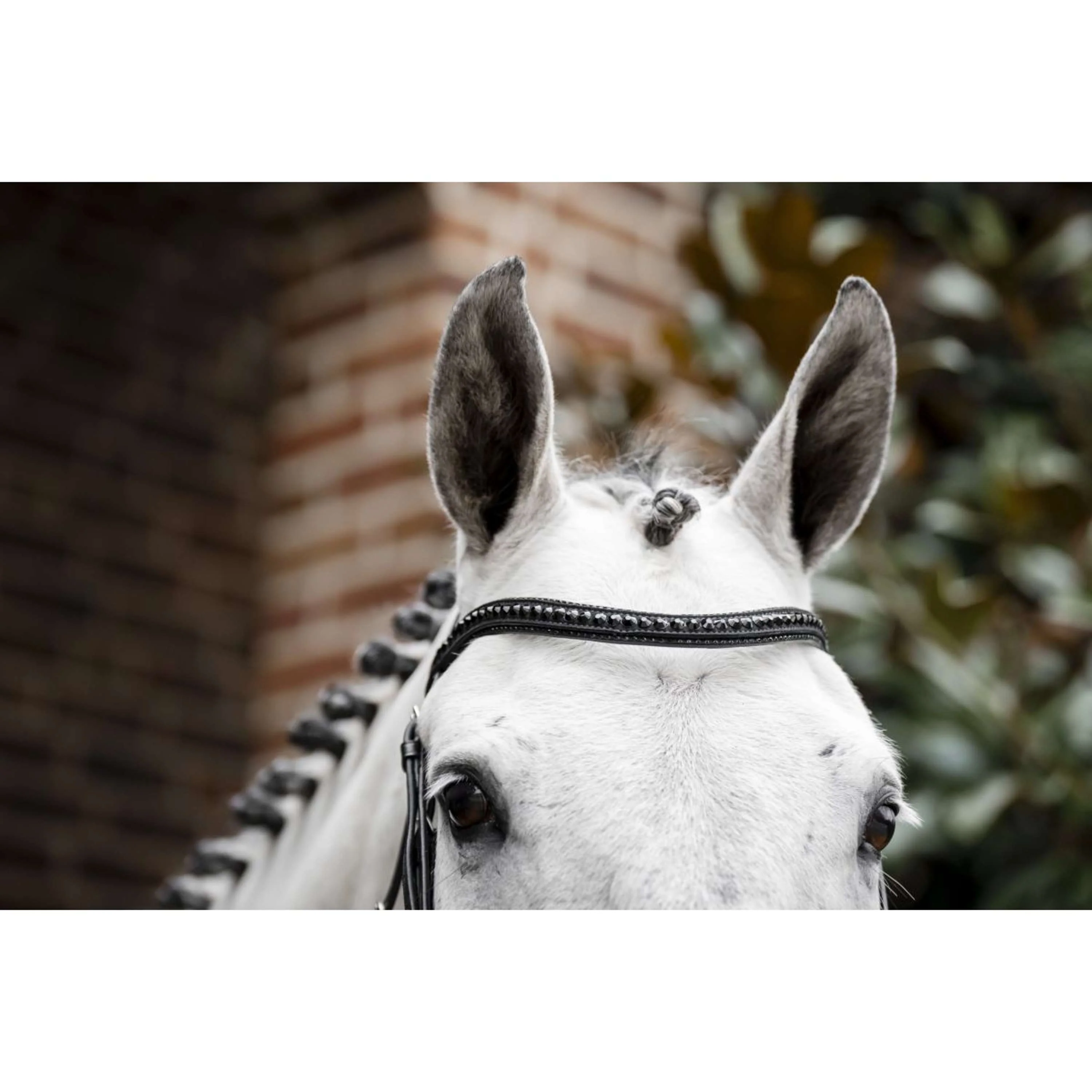Horseware Bride Diamante Noir - Image 6