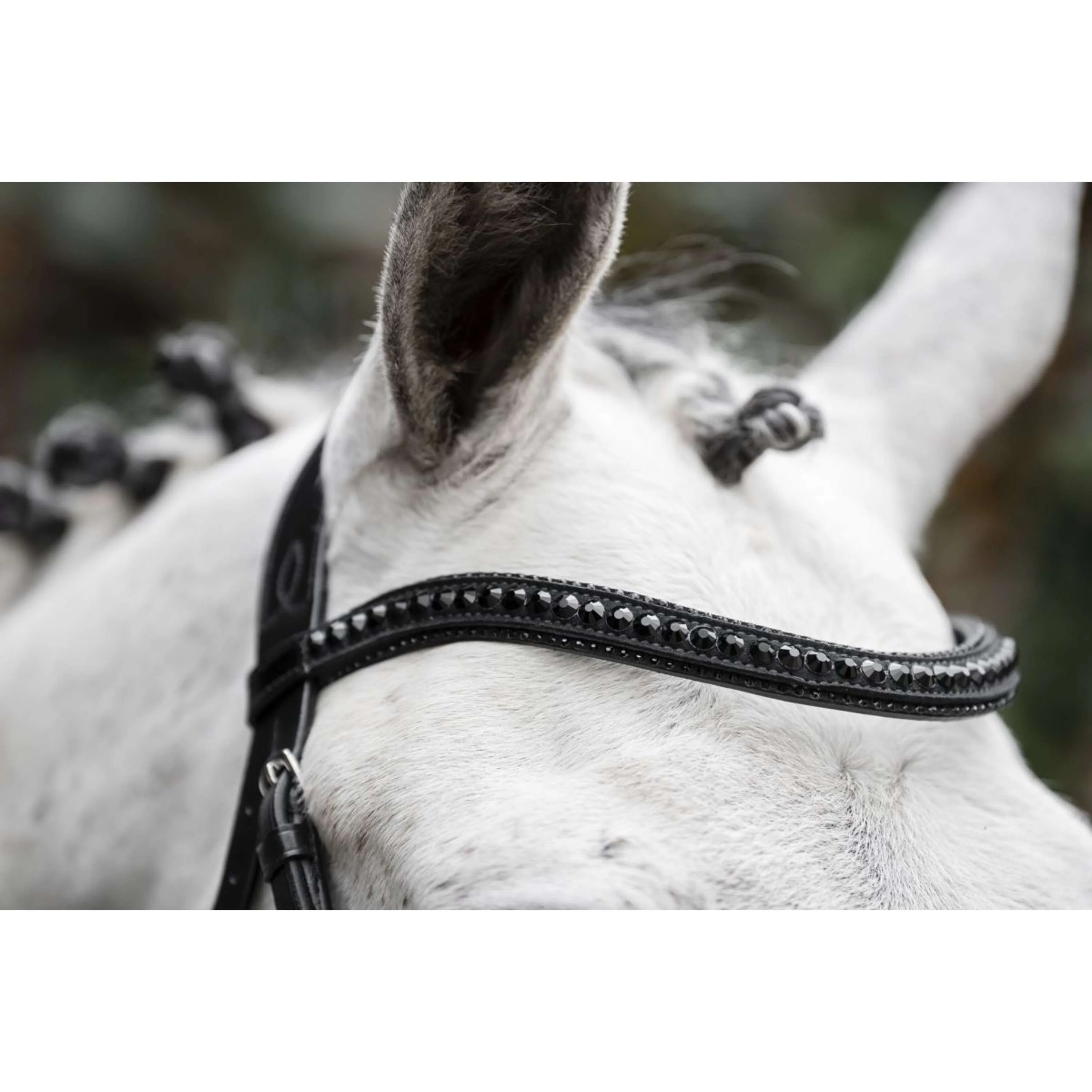 Horseware Bride Diamante Noir - Image 7