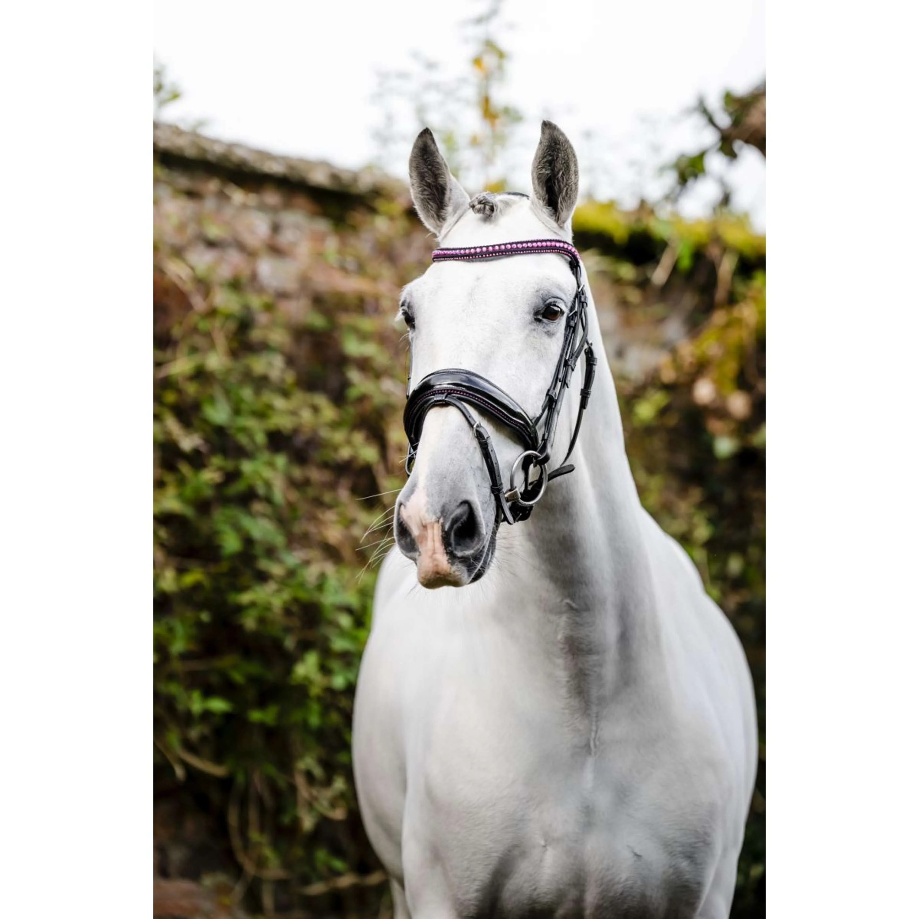 Horseware Bride Diamante Noir/Rose - Image 2