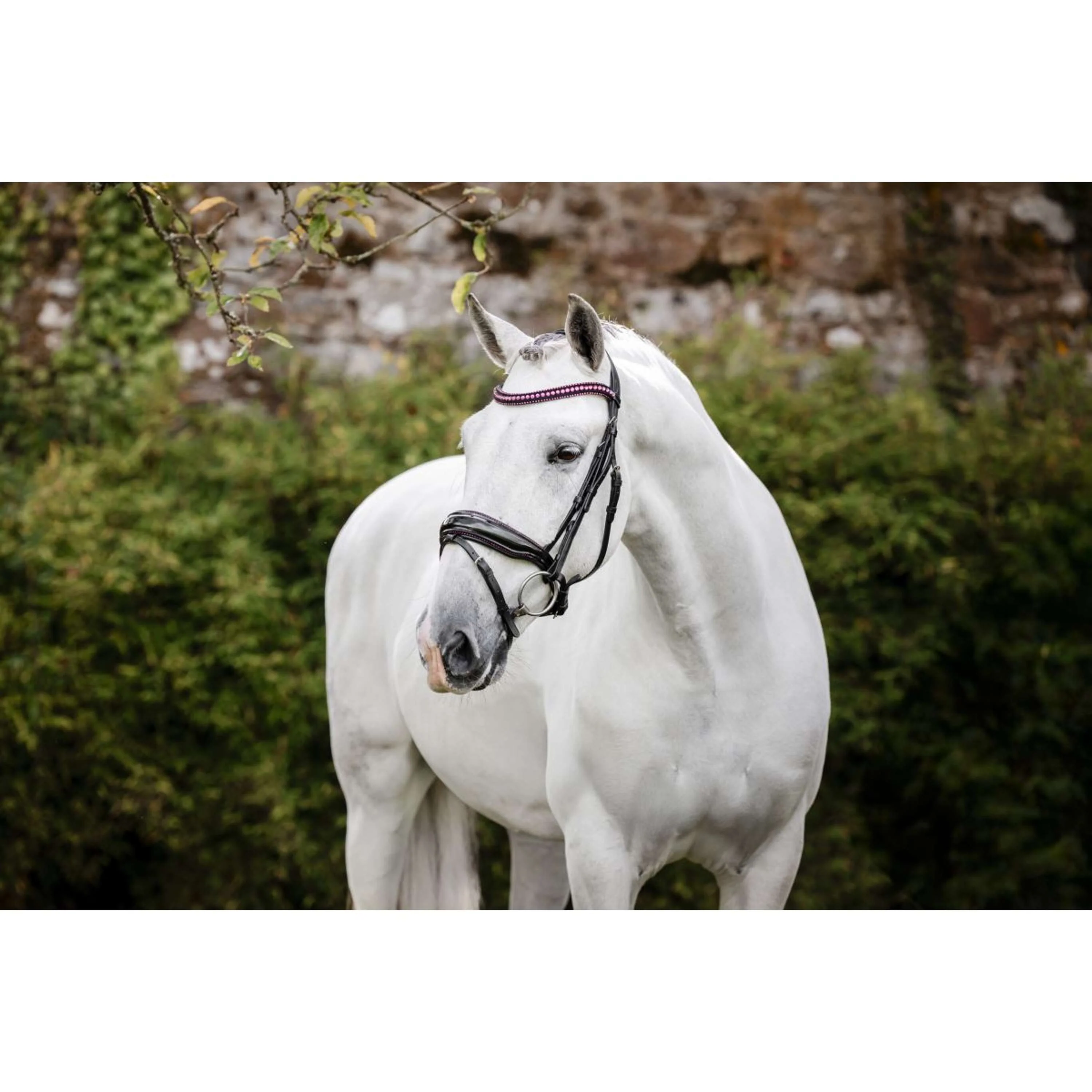Horseware Bride Diamante Noir/Rose - Image 4