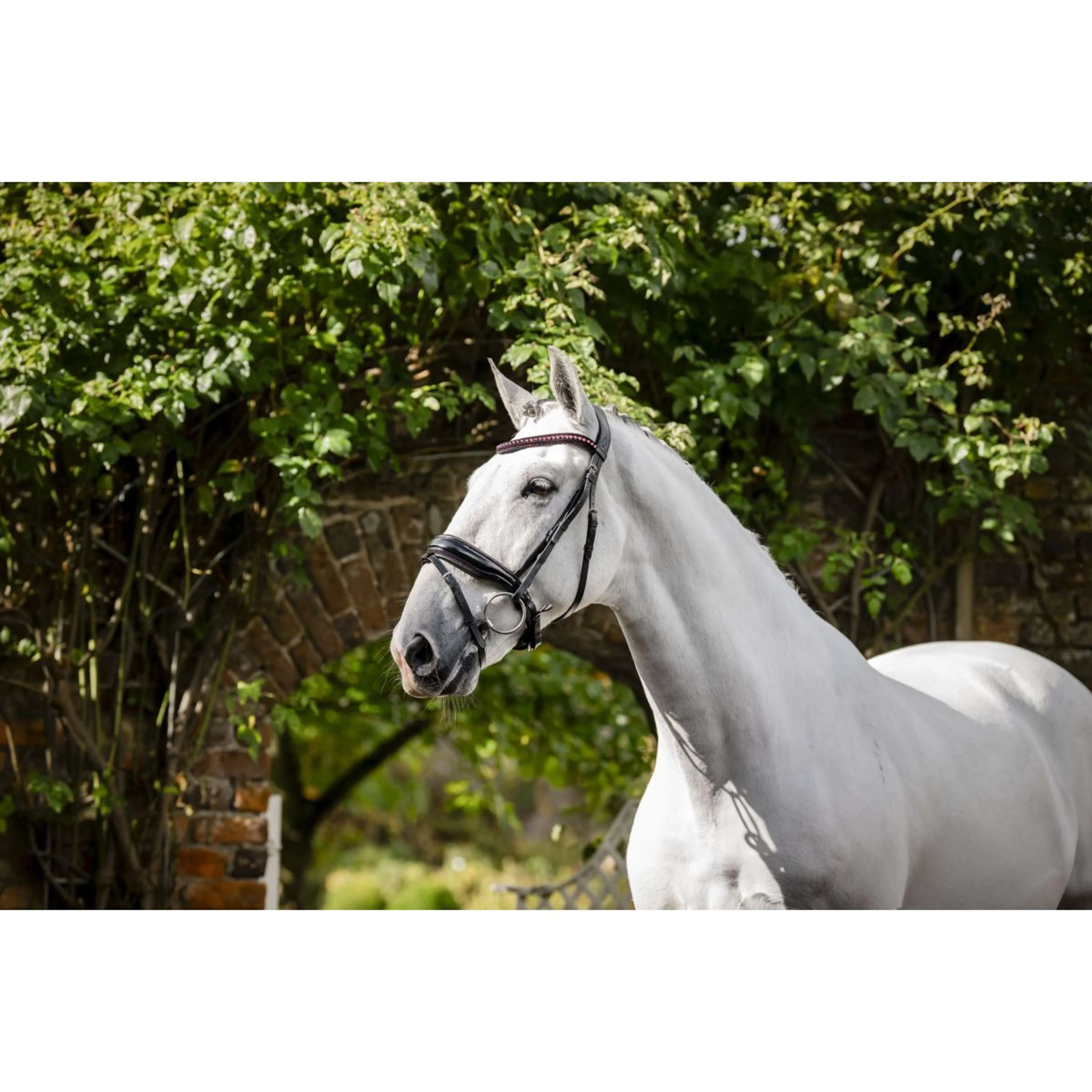 Horseware Bride Diamante Noir/Rose - Image 5