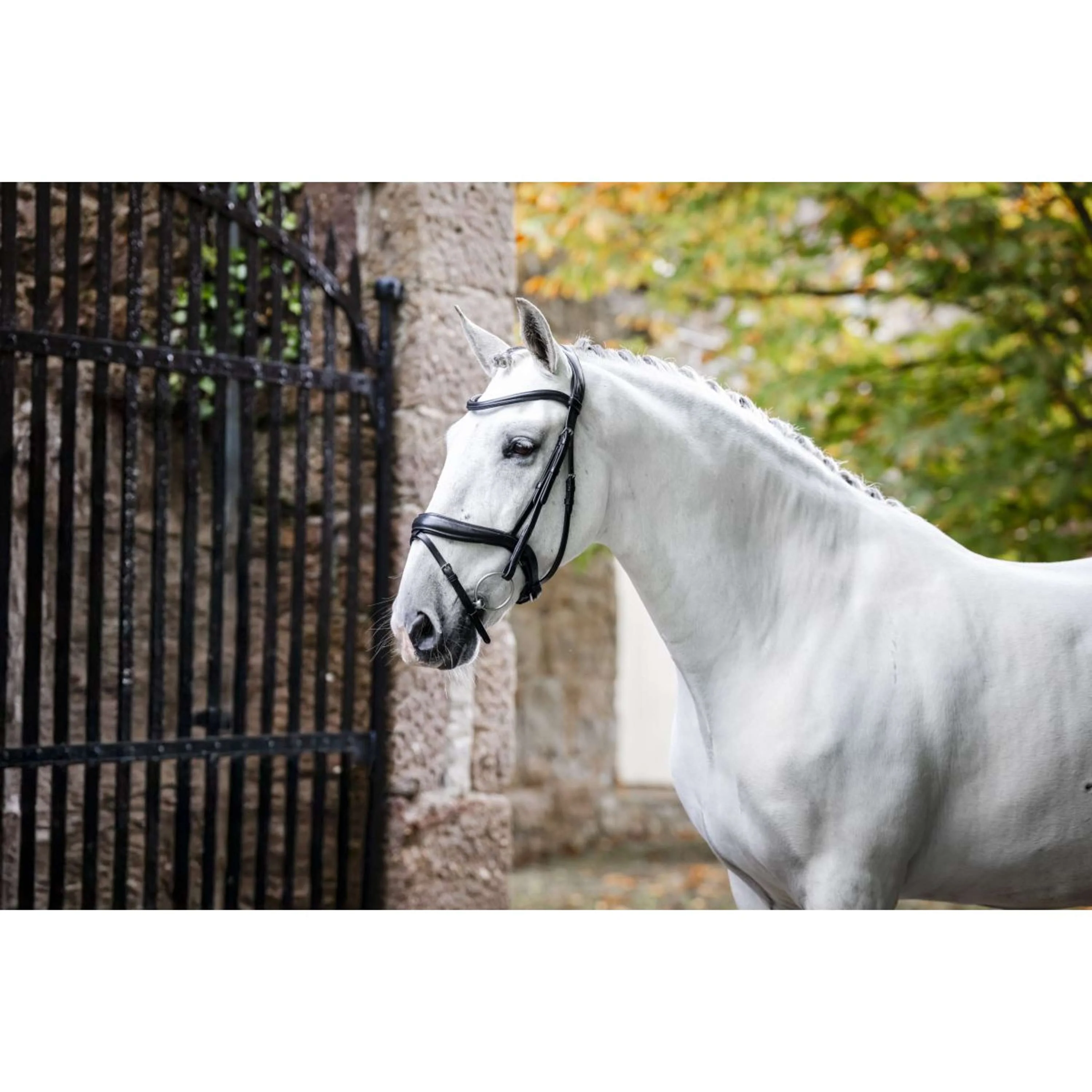 Horseware Bride Pony Flash Noir - Image 2