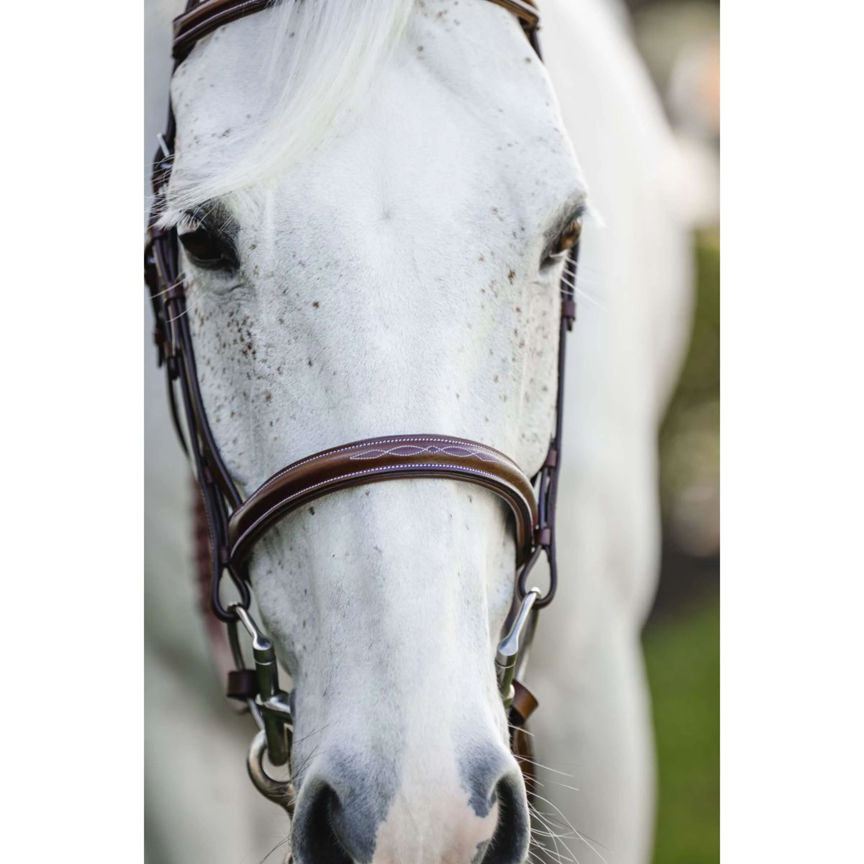 Horseware Bride Hunter Cavesson avec Rênes Dark Tan - Image 2