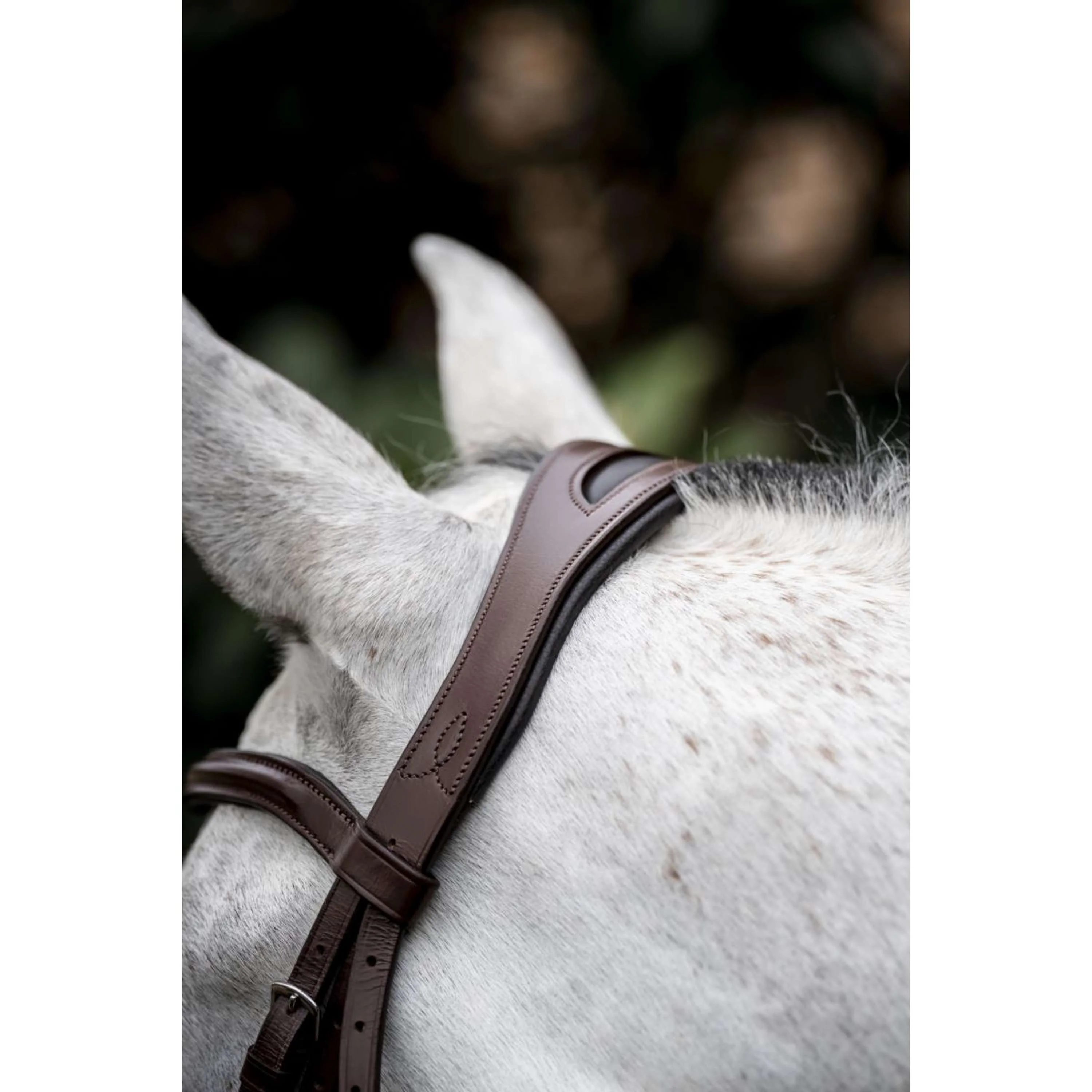Horseware Bride Pony Cavesson Marron - Image 10