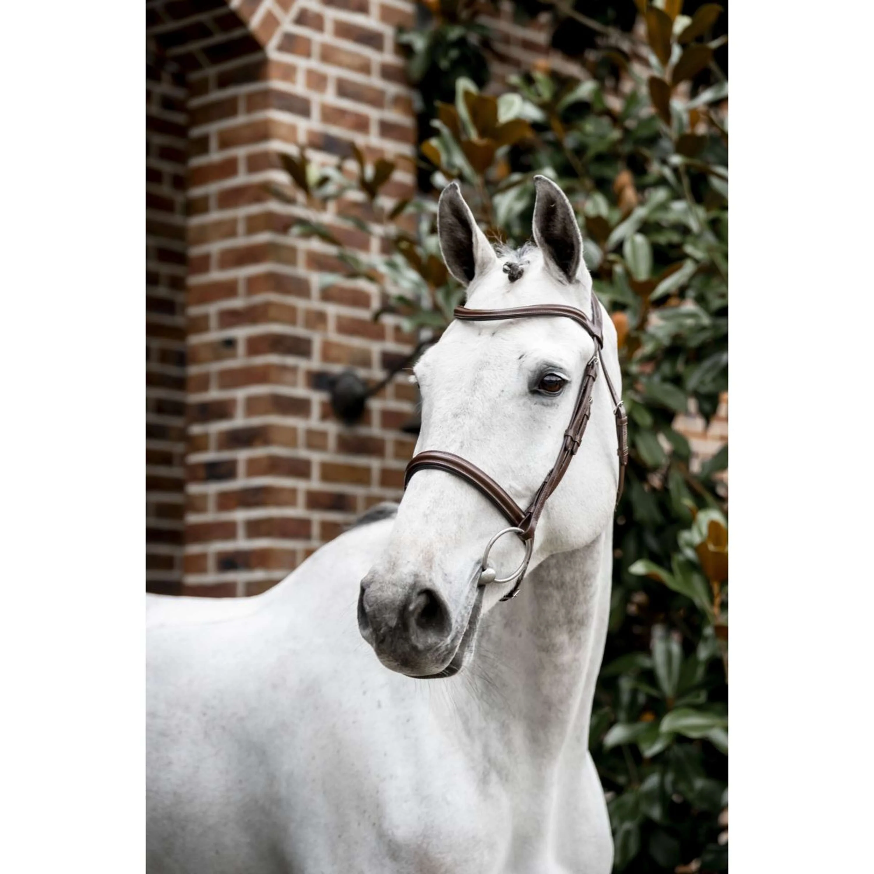 Horseware Bride Pony Cavesson Marron - Image 11