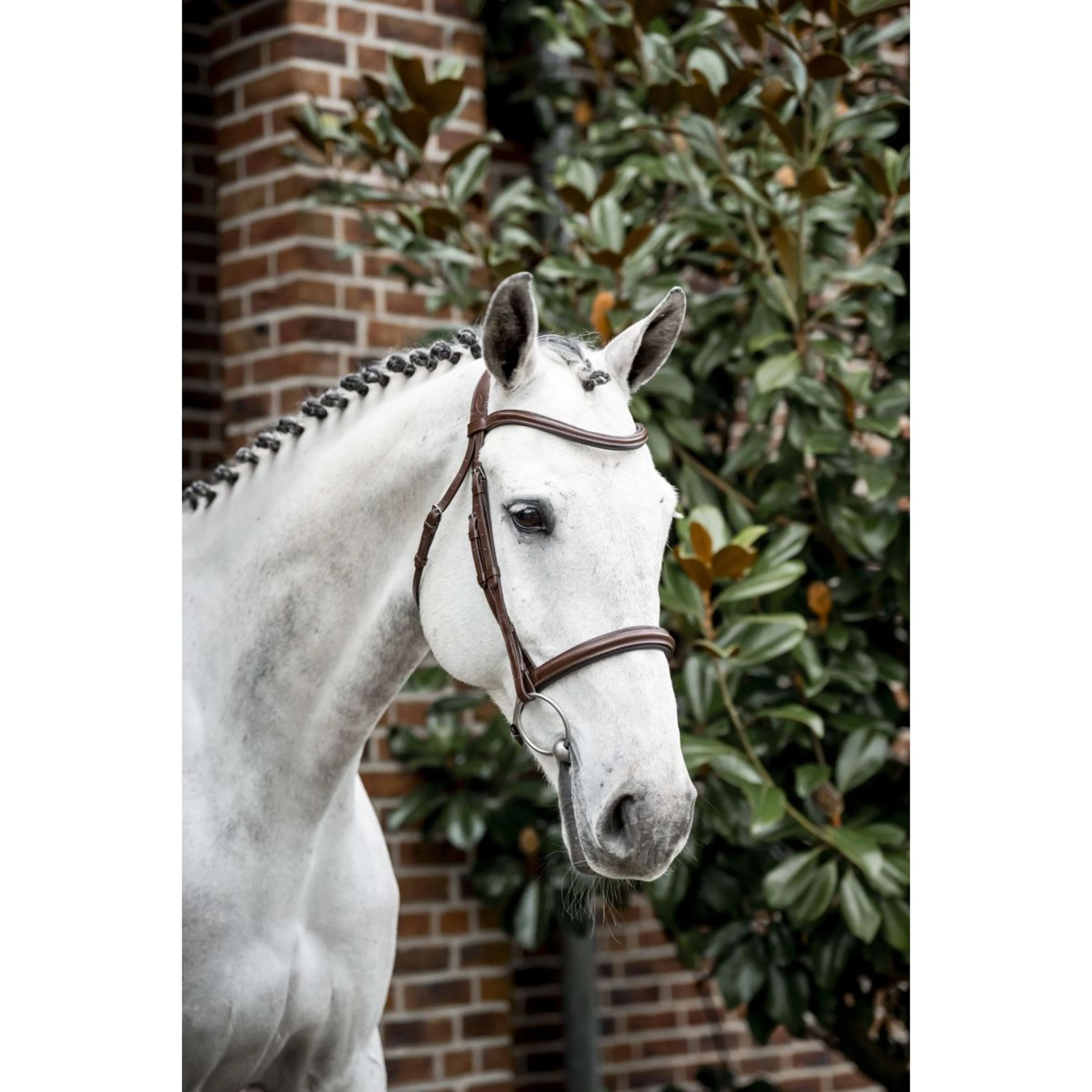 Horseware Bride Pony Cavesson Marron - Image 12