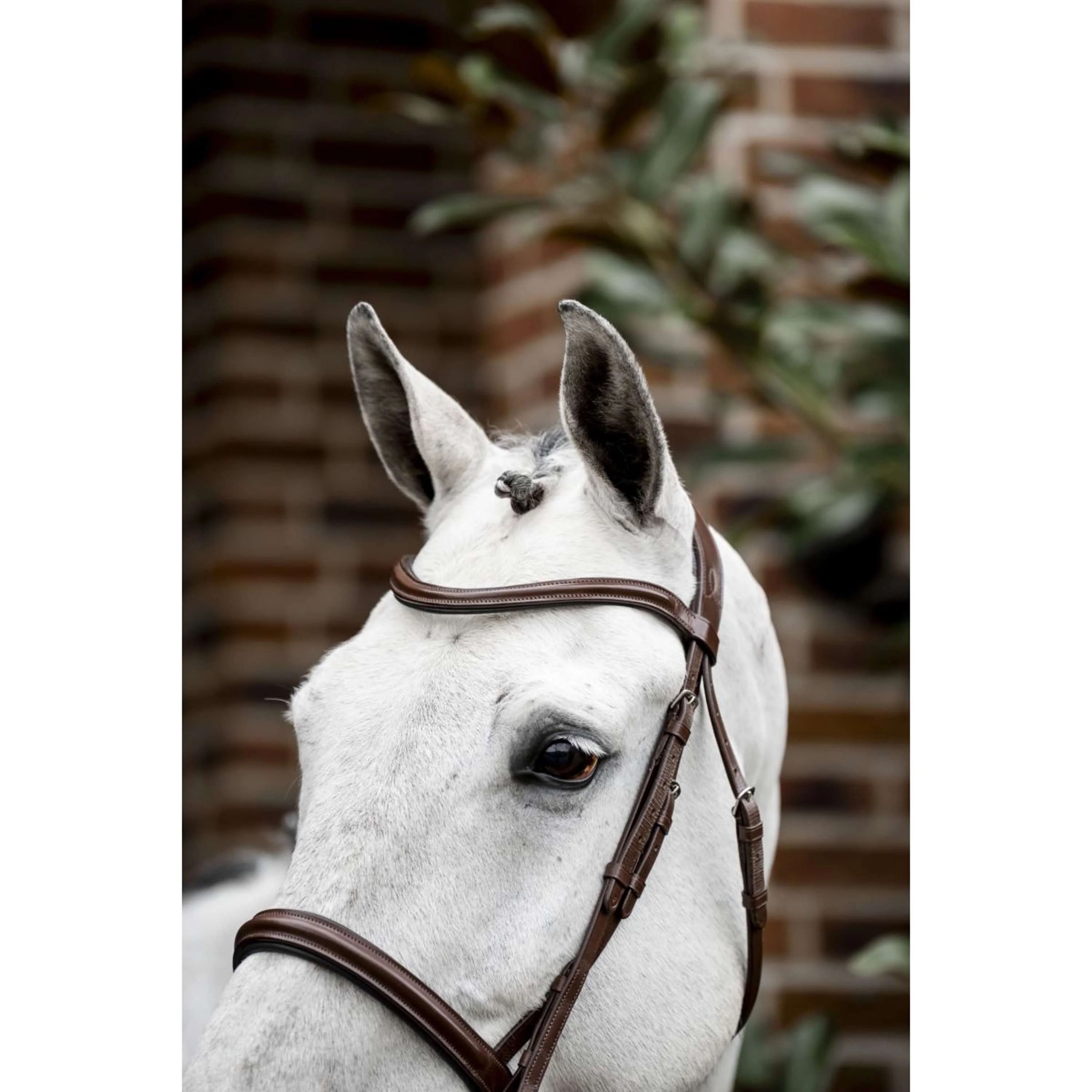 Horseware Bride Pony Cavesson Marron - Image 2