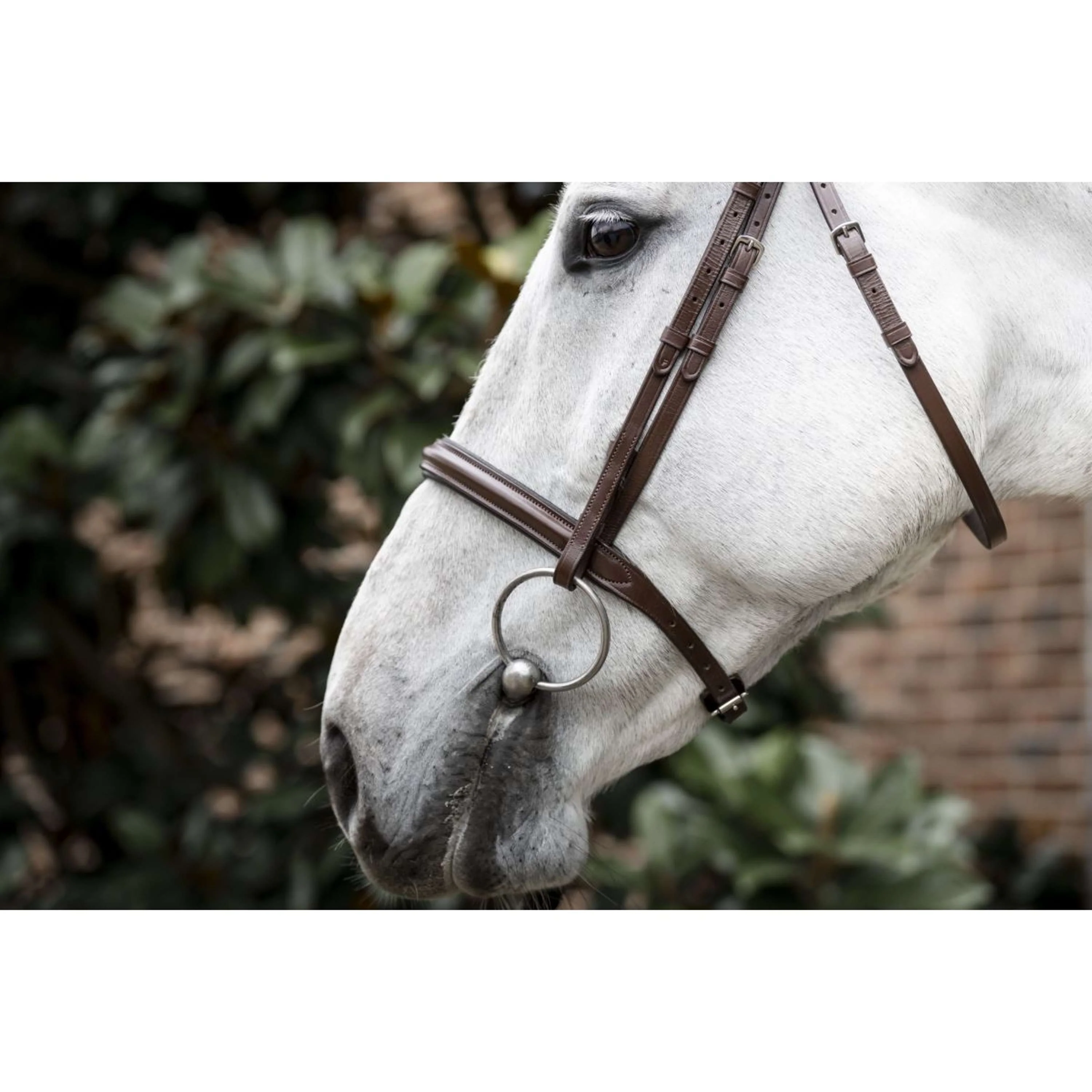 Horseware Bride Pony Cavesson Marron - Image 4