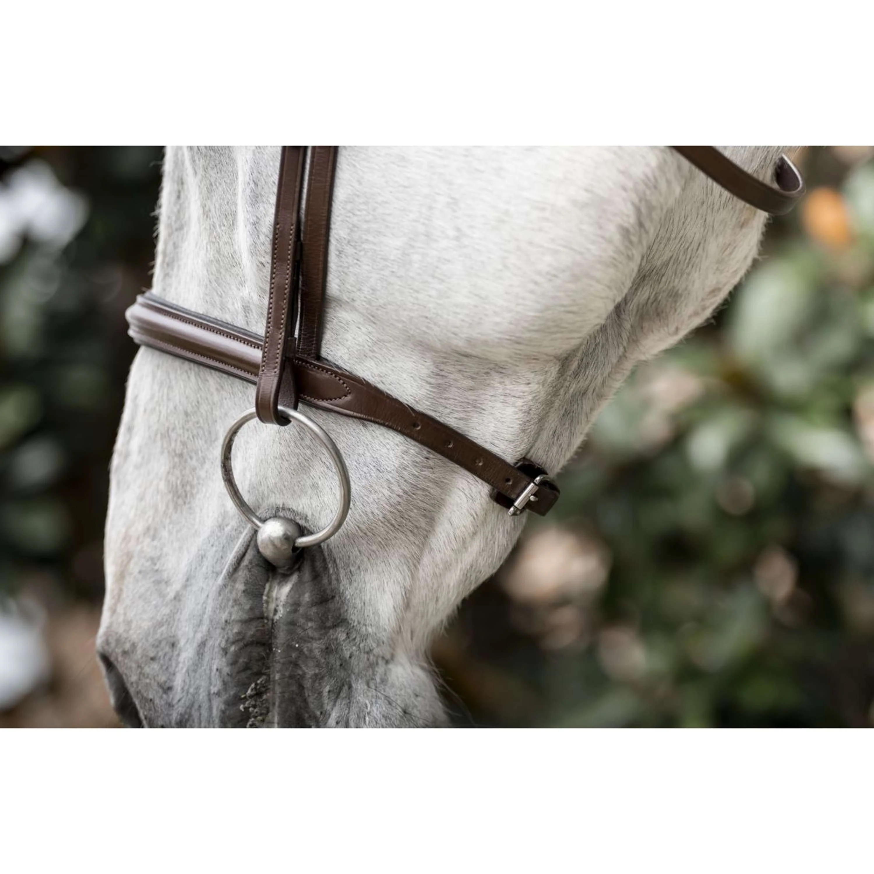 Horseware Bride Pony Cavesson Marron - Image 5