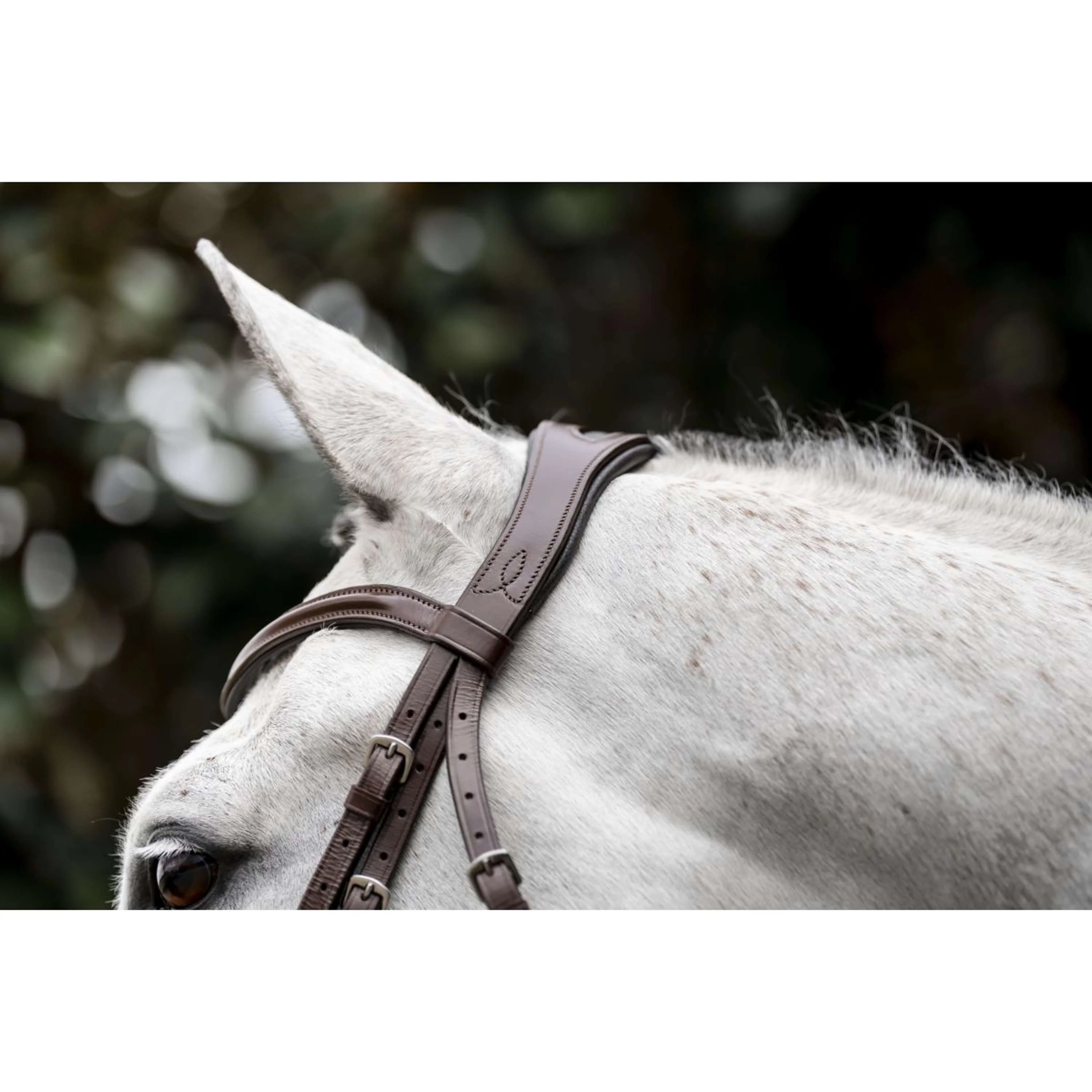 Horseware Bride Pony Cavesson Marron - Image 6