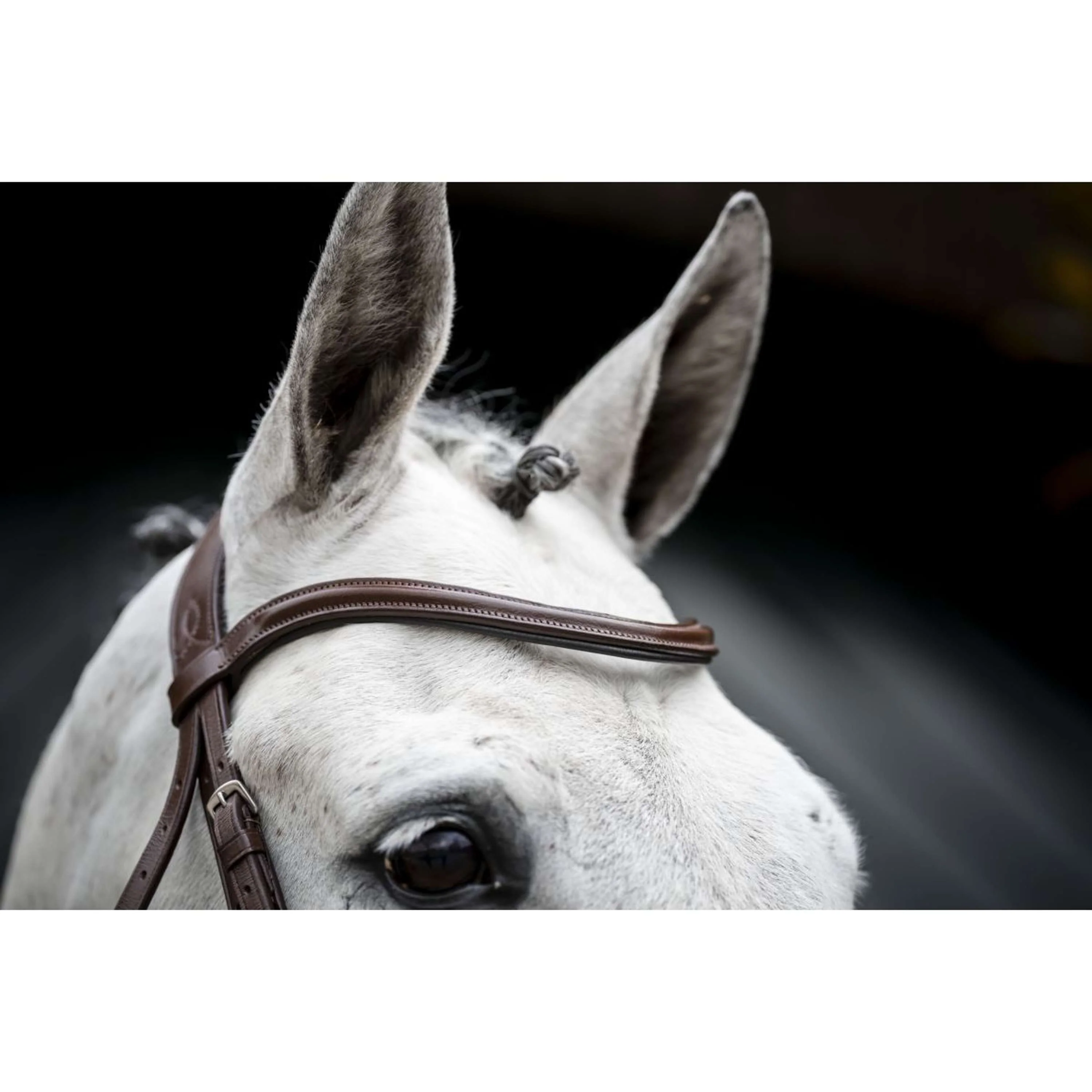 Horseware Bride Pony Cavesson Marron - Image 7