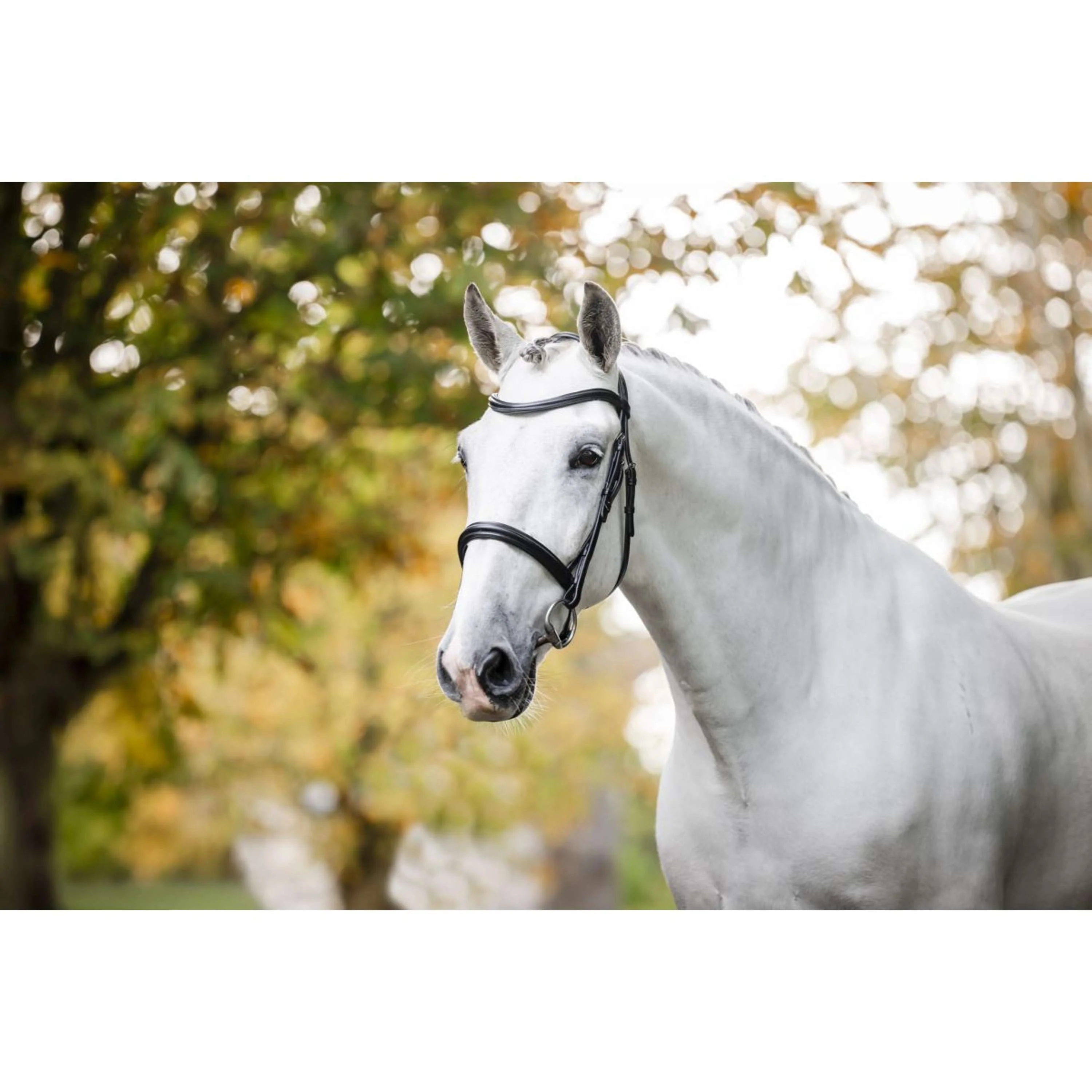 Horseware Bride Pony Cavesson Noir - Image 2