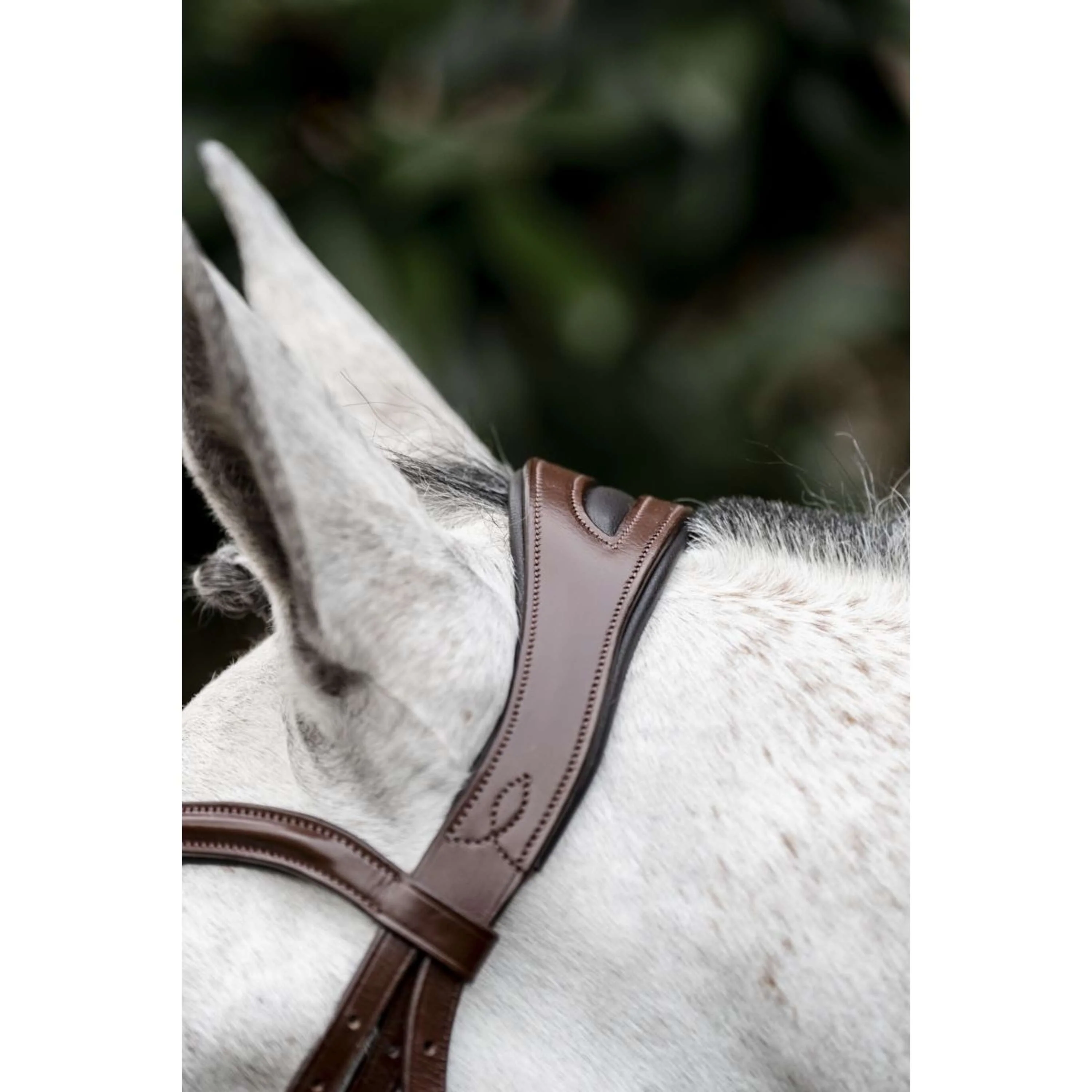 Horseware Bride Dressage Marron - Image 10