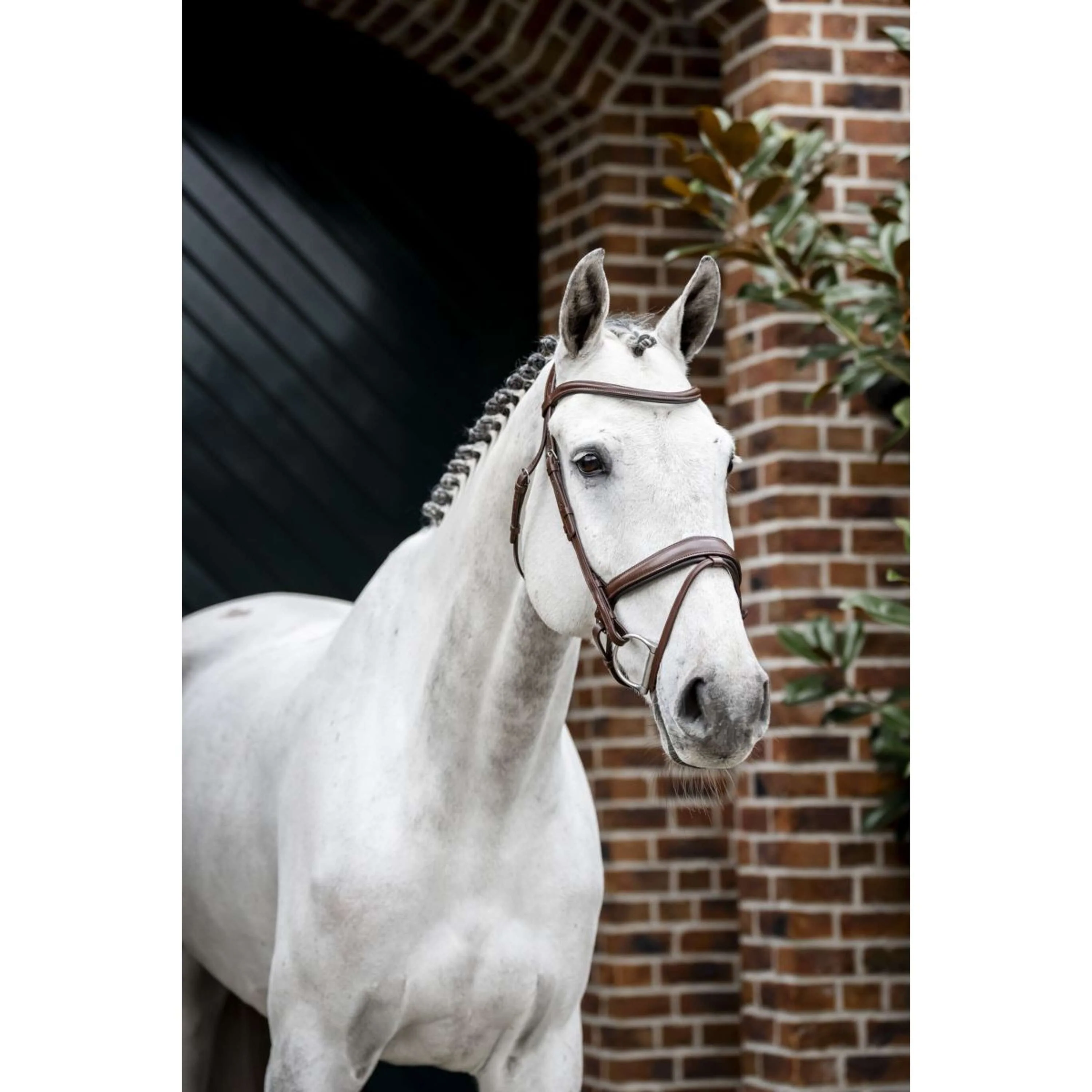 Horseware Bride Dressage Marron - Image 11