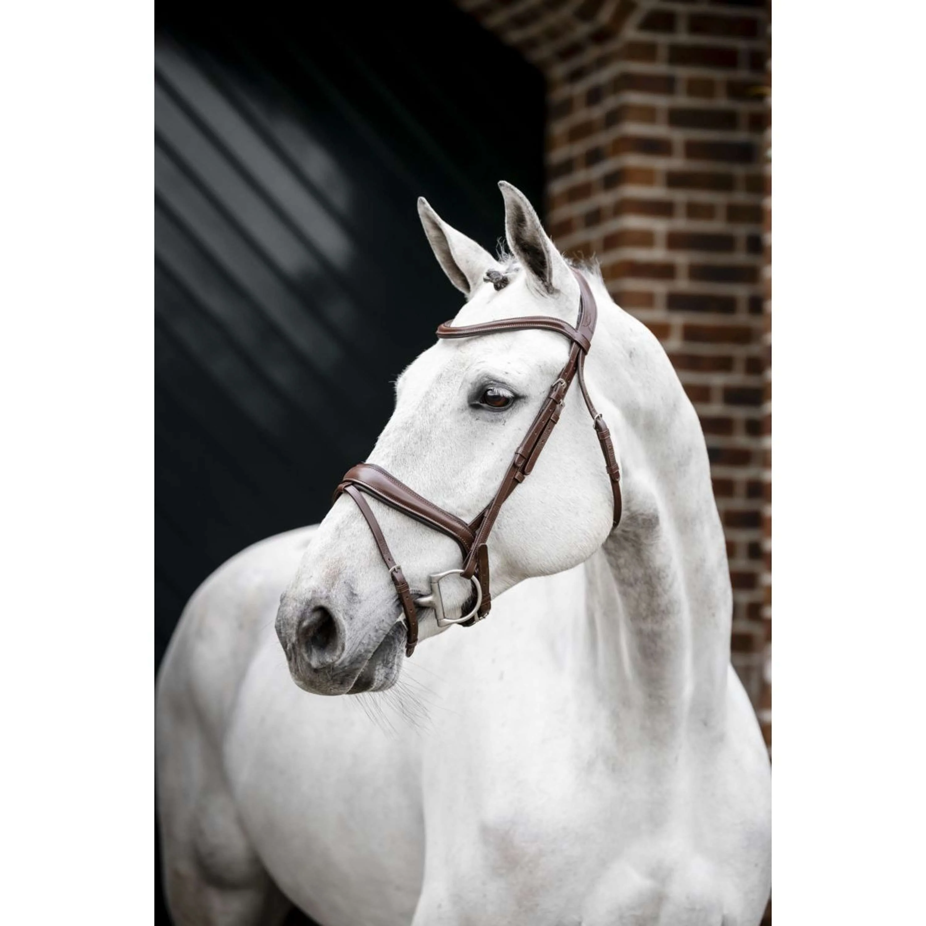 Horseware Bride Dressage Marron - Image 2
