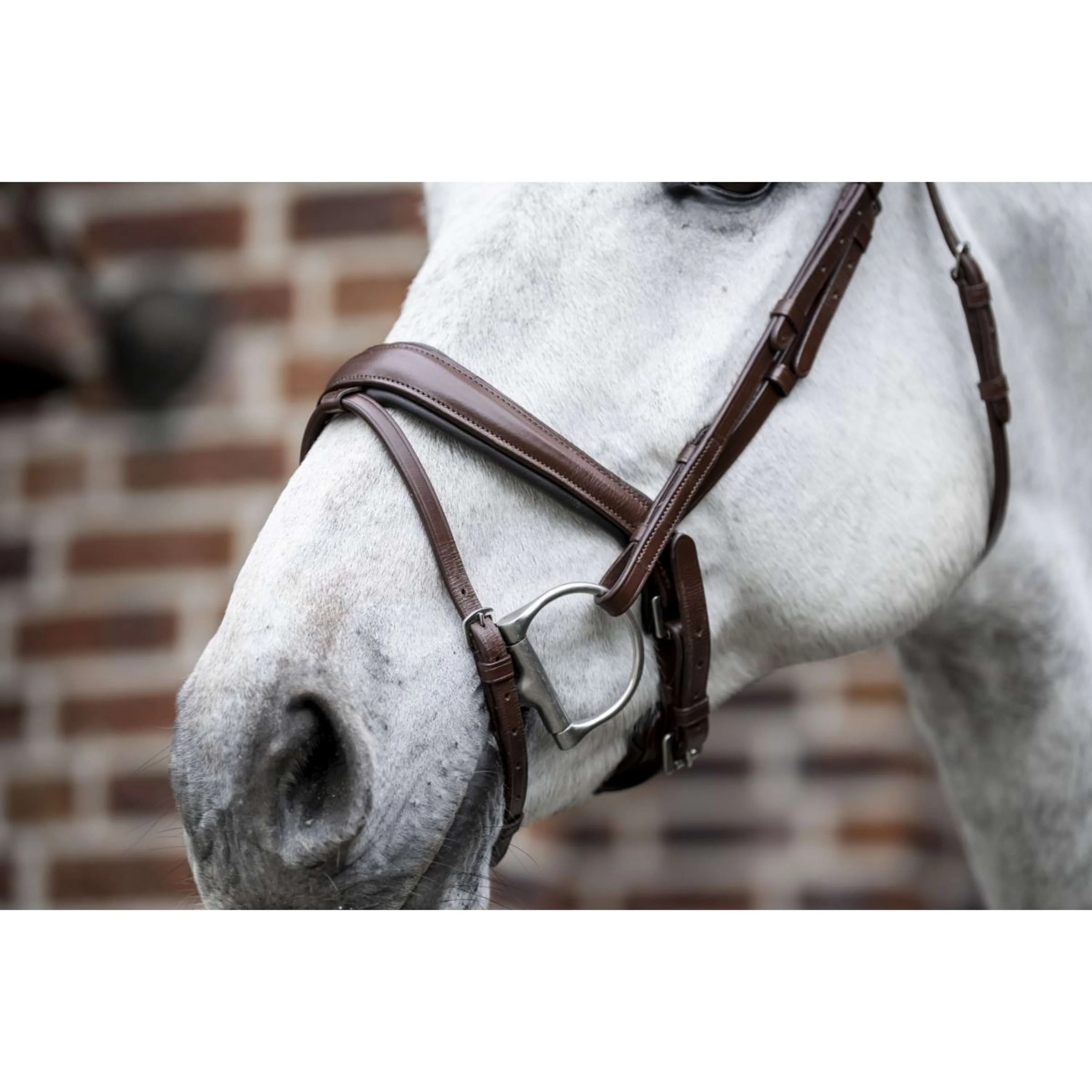 Horseware Bride Dressage Marron - Image 5