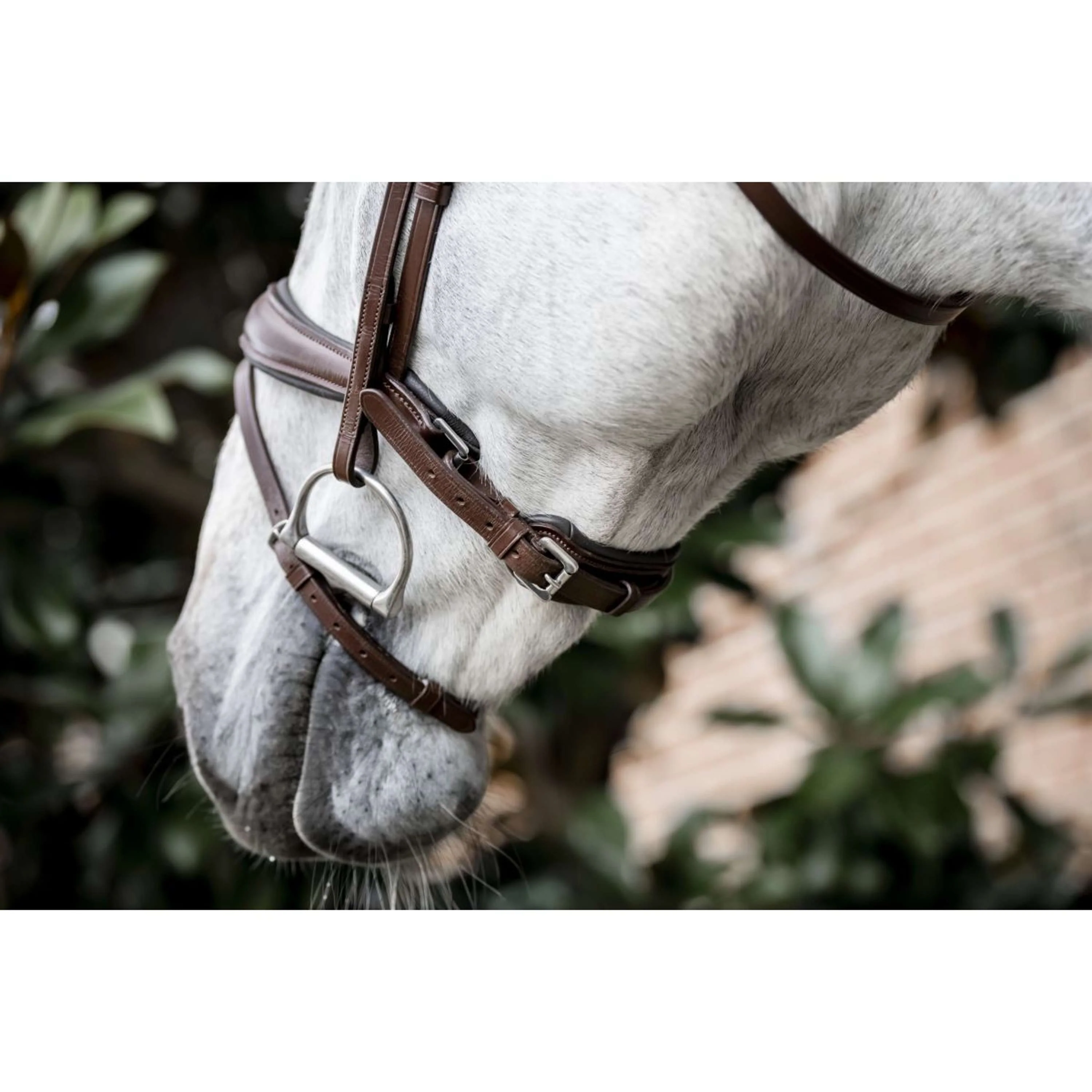 Horseware Bride Dressage Marron - Image 6