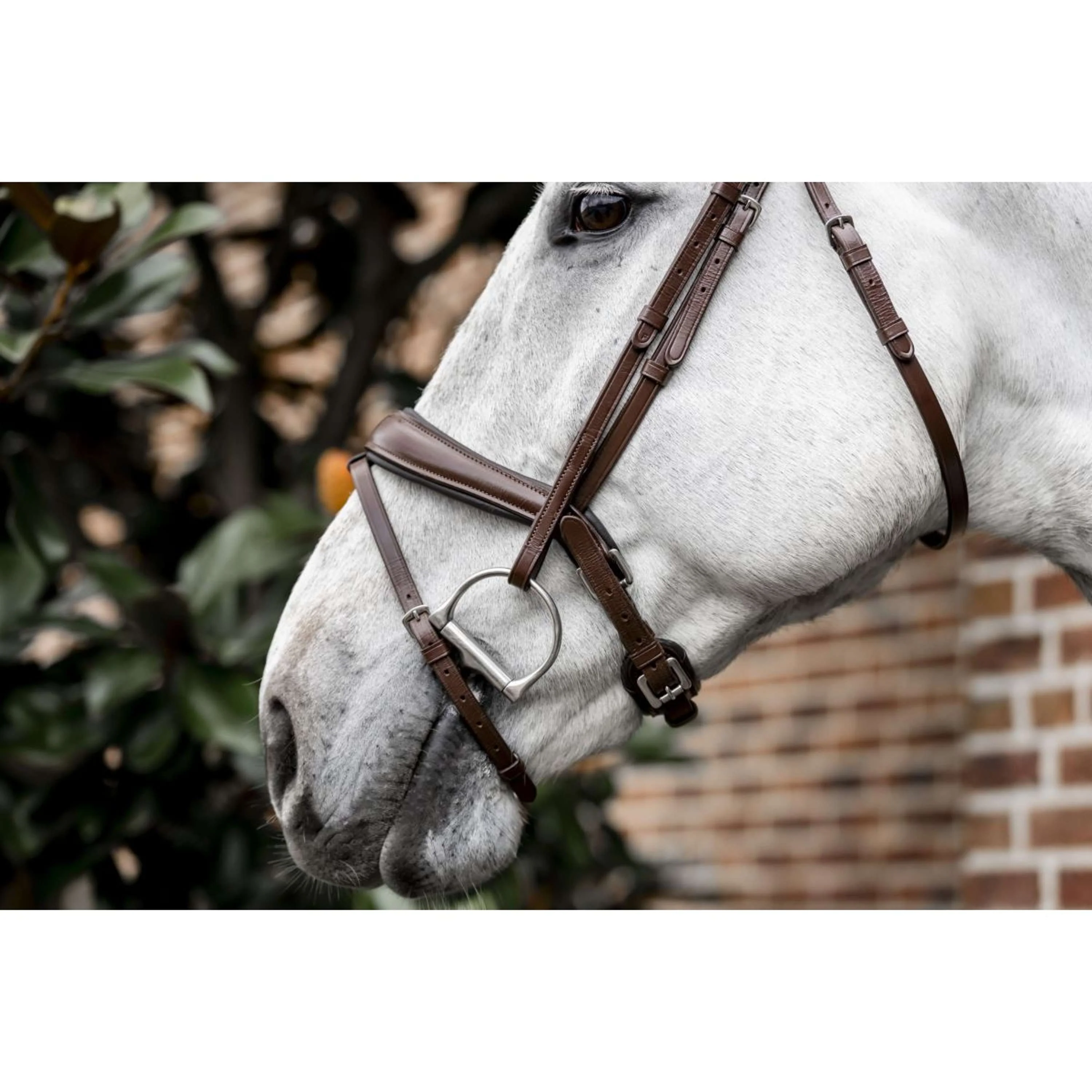 Horseware Bride Dressage Marron - Image 7