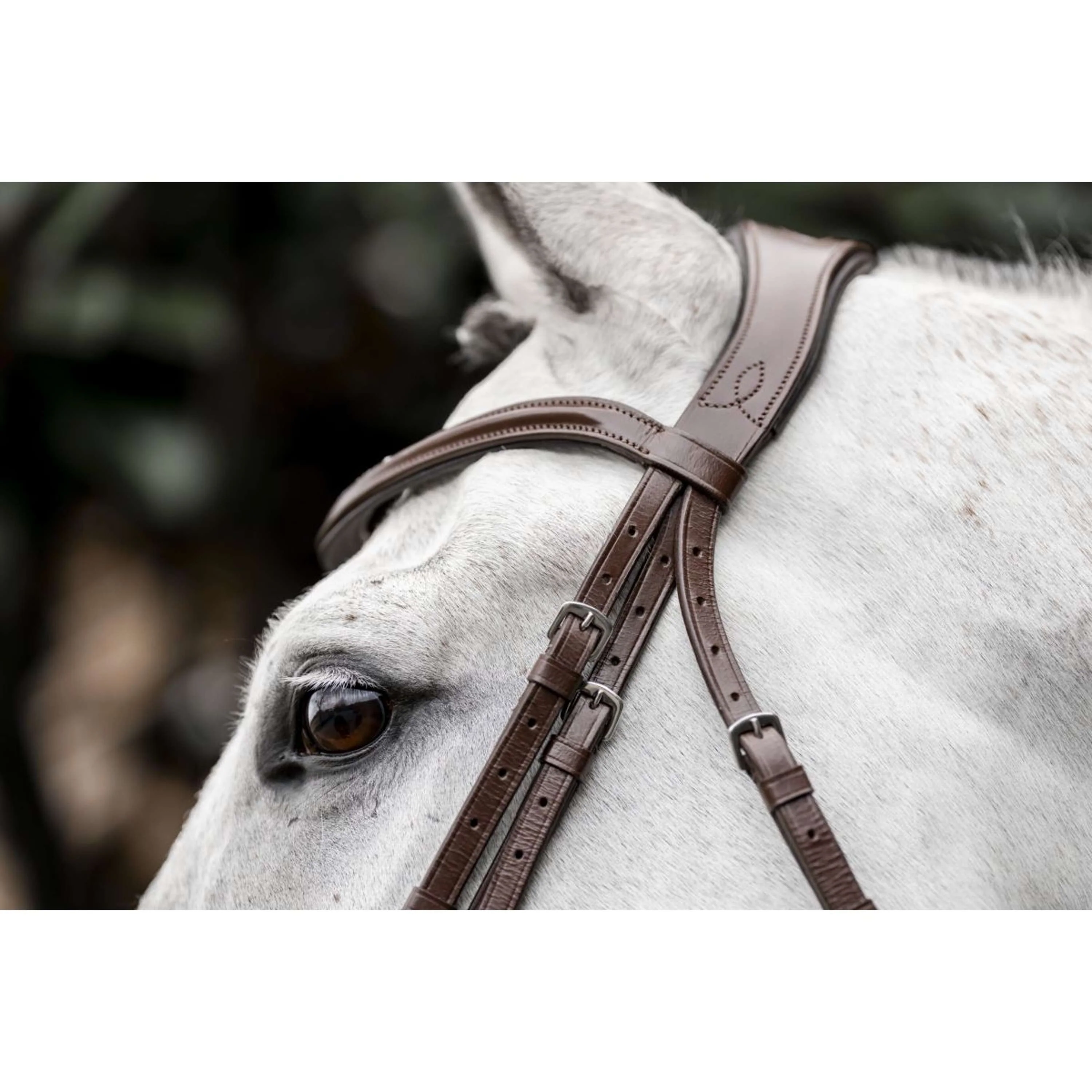 Horseware Bride Dressage Marron - Image 8