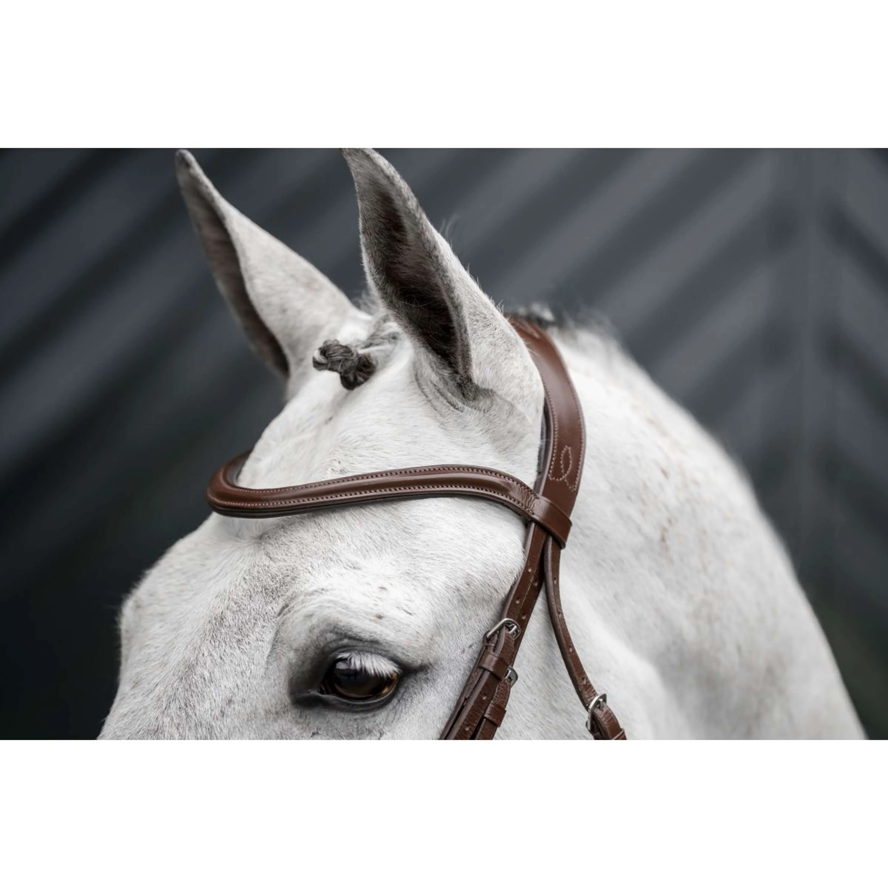 Horseware Bride Dressage Marron - Image 9