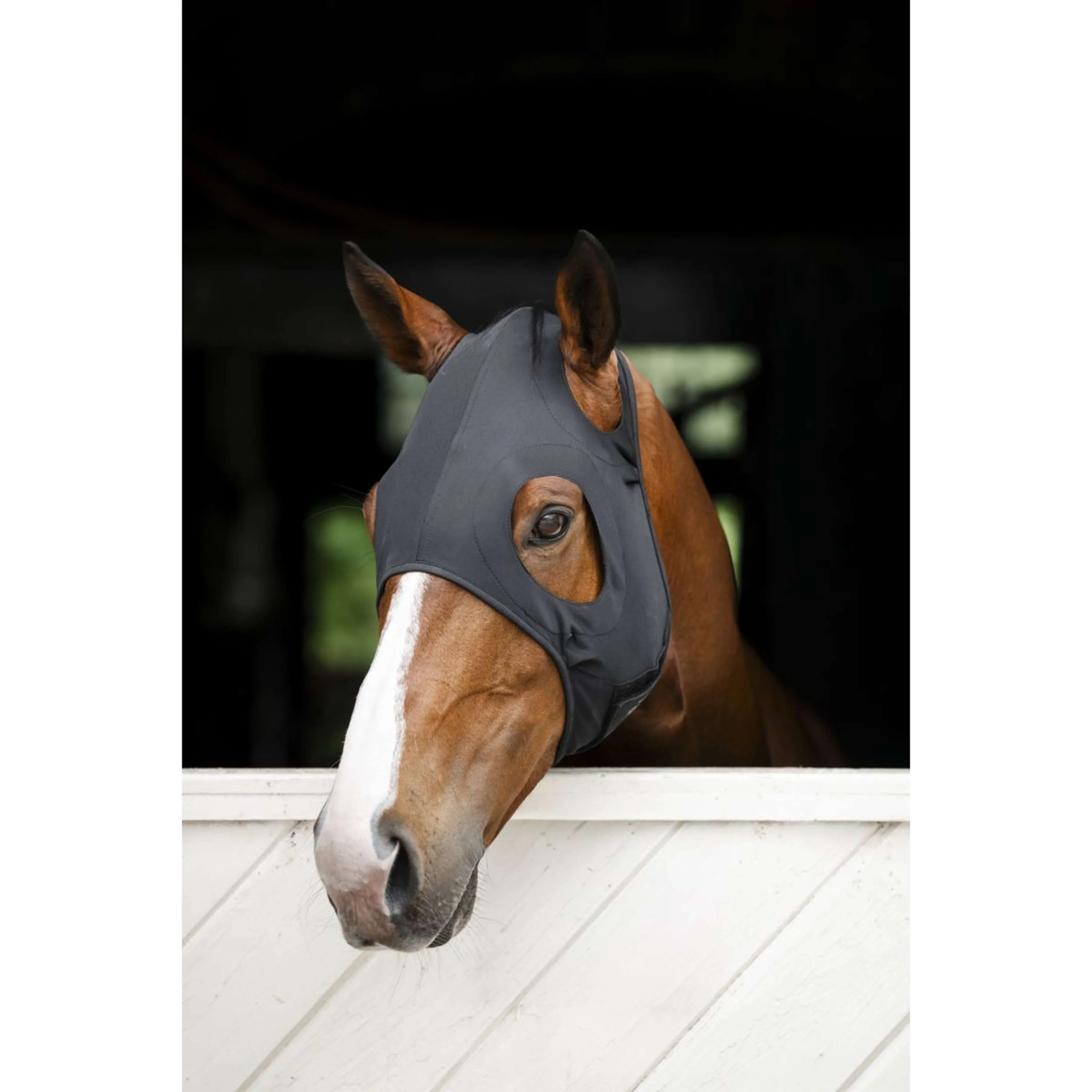 Horseware Calming Face Mask Ionic Noir - Image 10