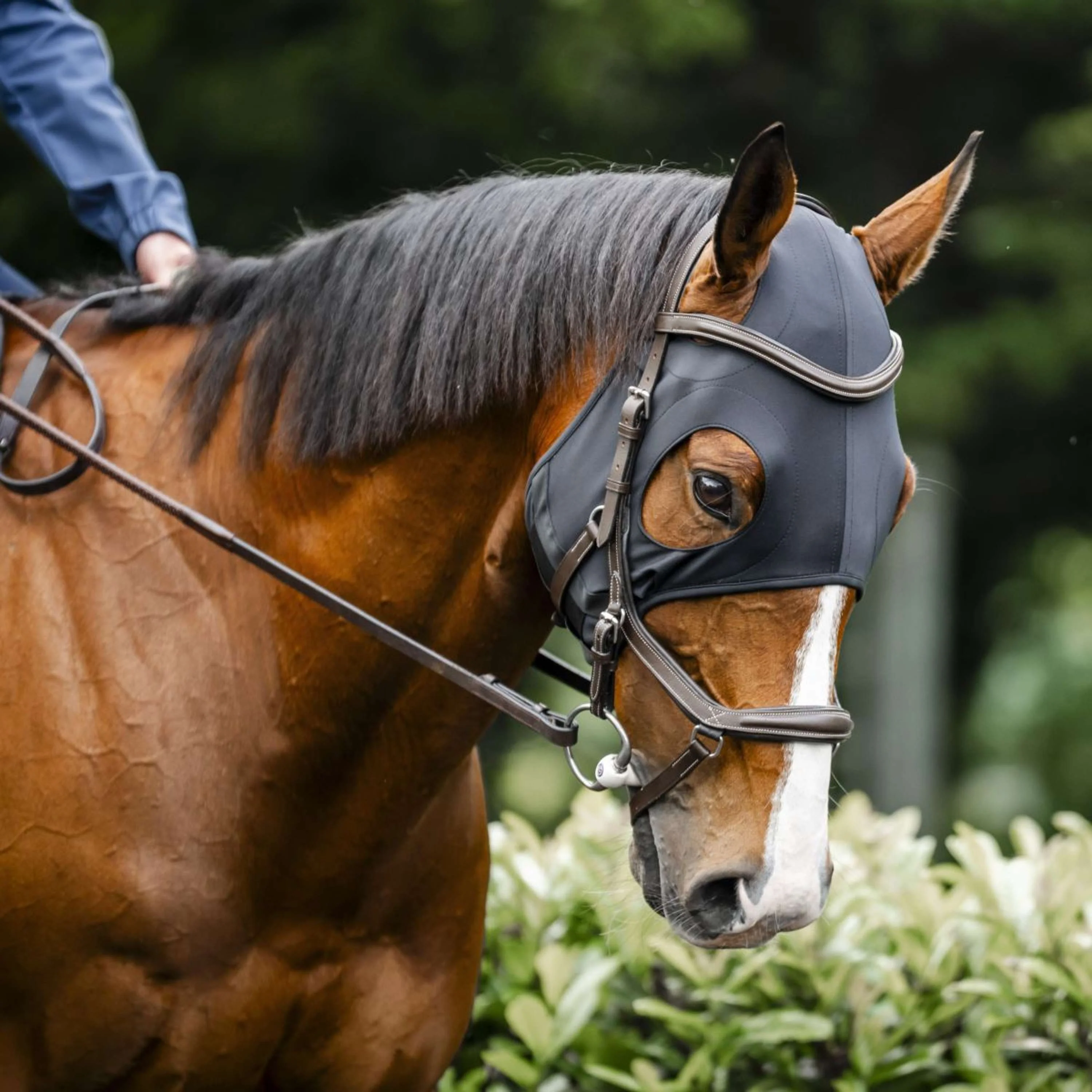Horseware Calming Face Mask Ionic Noir - Image 3