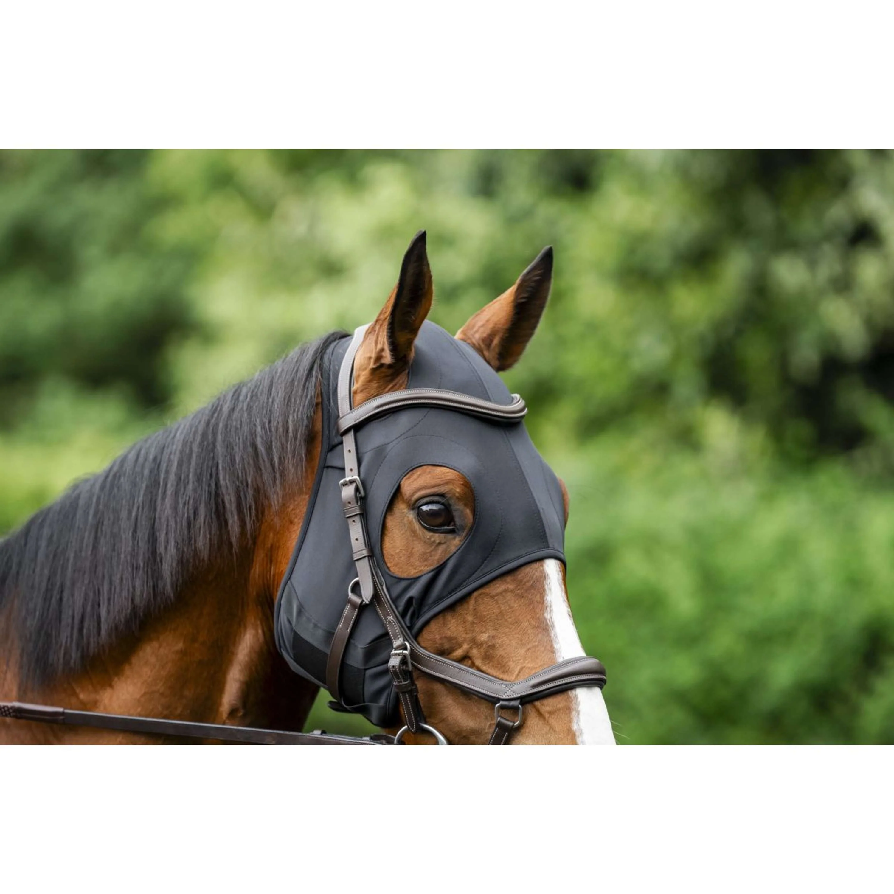 Horseware Calming Face Mask Ionic Noir - Image 4