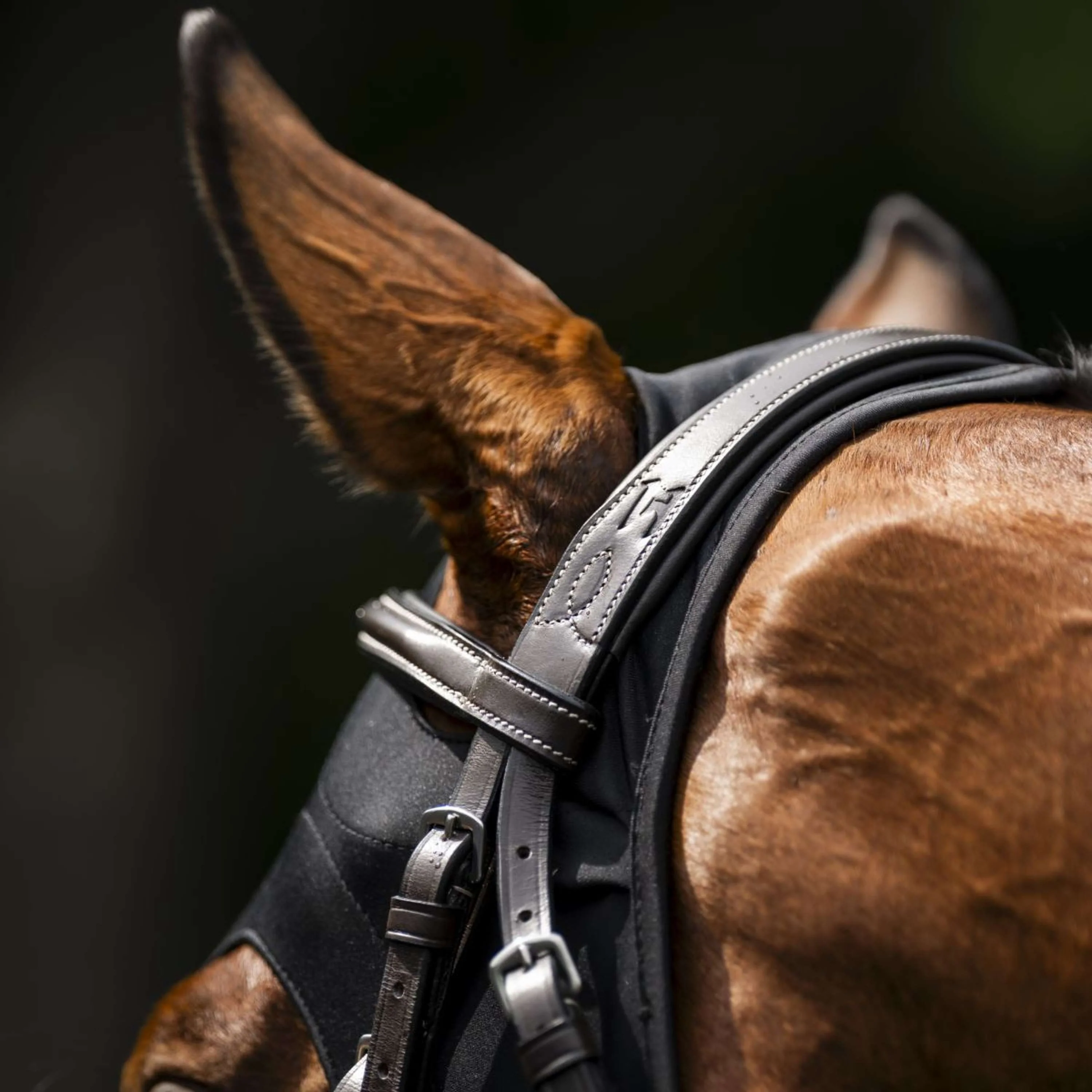 Horseware Calming Face Mask Ionic Noir - Image 6