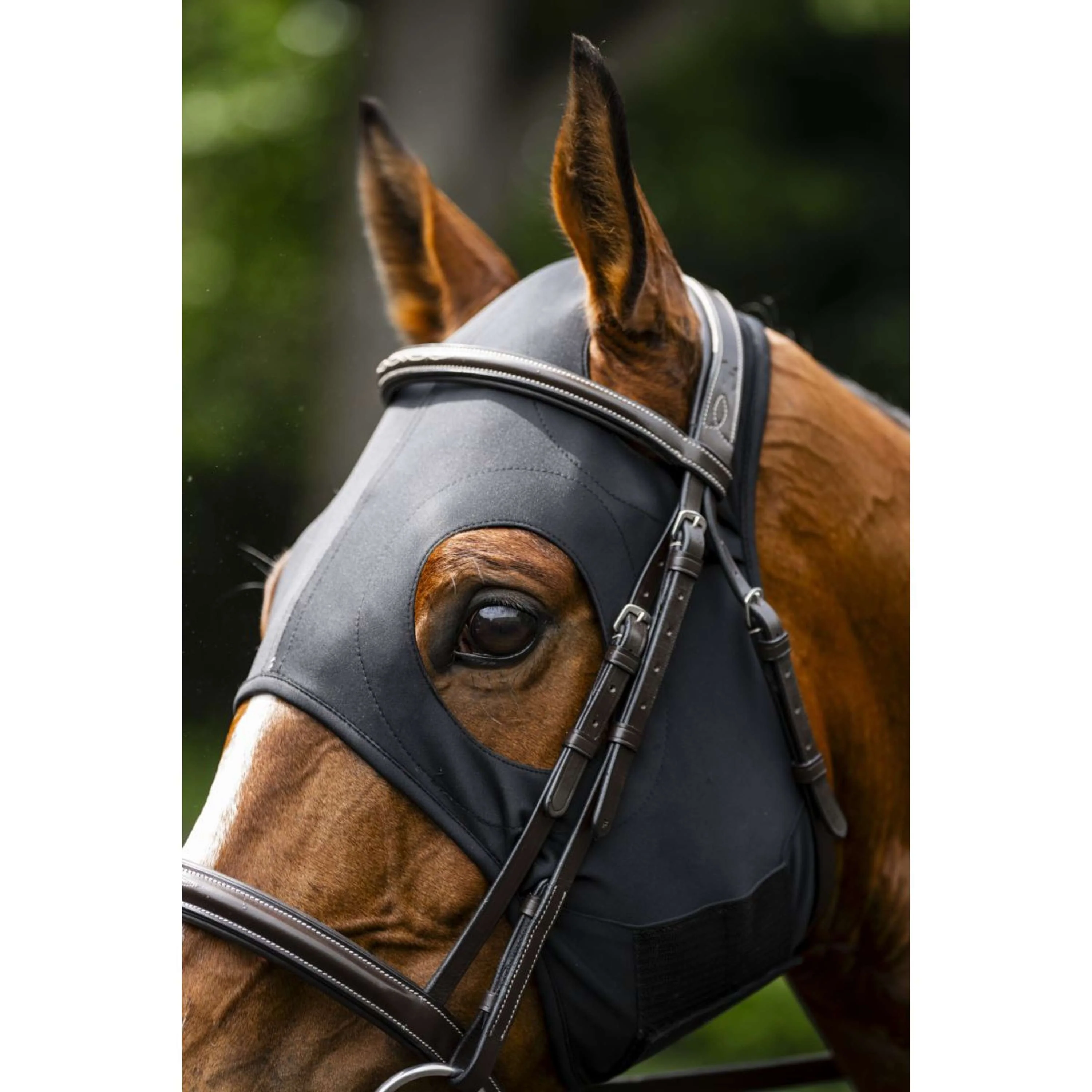 Horseware Calming Face Mask Ionic Noir - Image 7