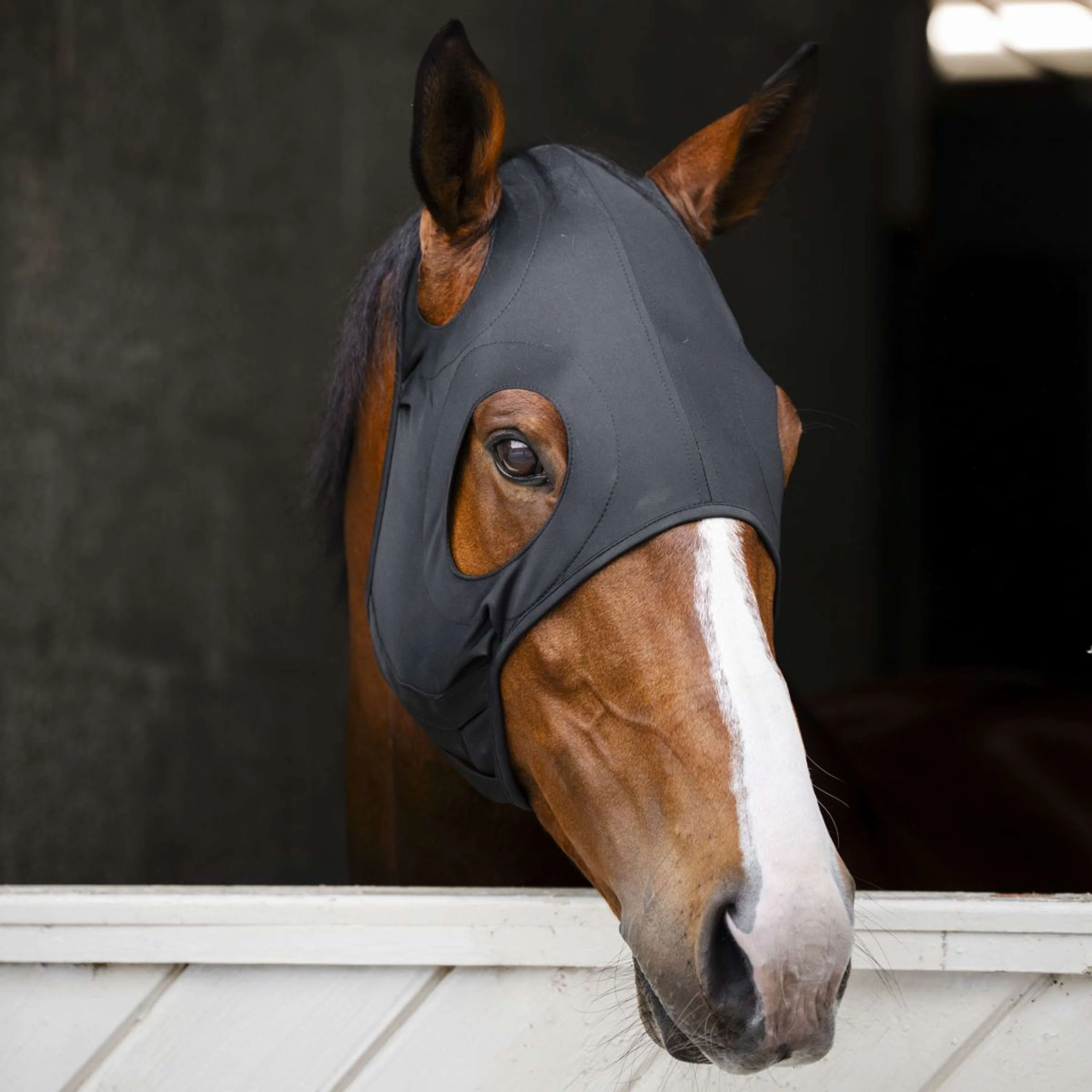 Horseware Calming Face Mask Ionic Noir - Image 9
