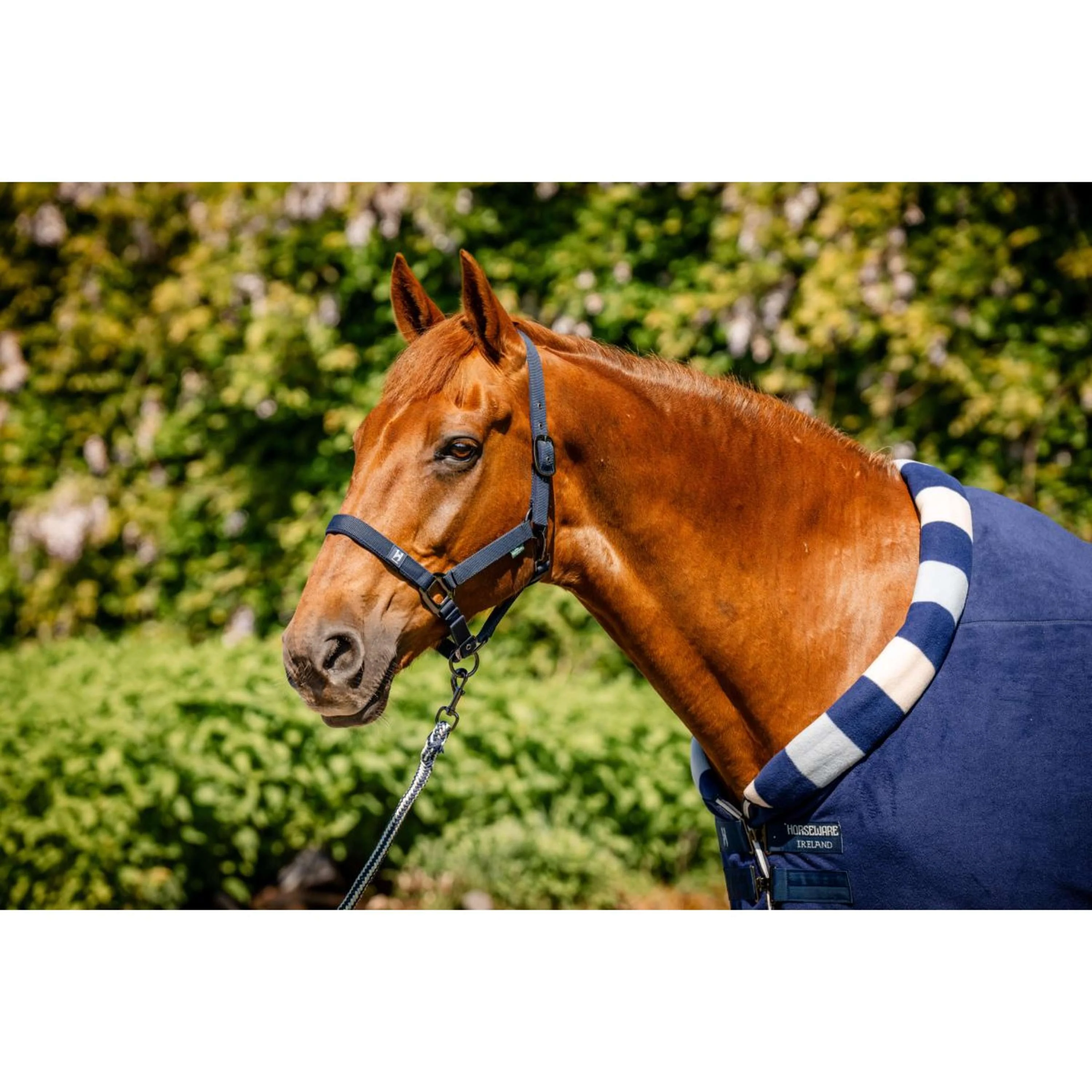 Horseware Cosy Fleece Cooler Newmarket Witney Navy - Image 2