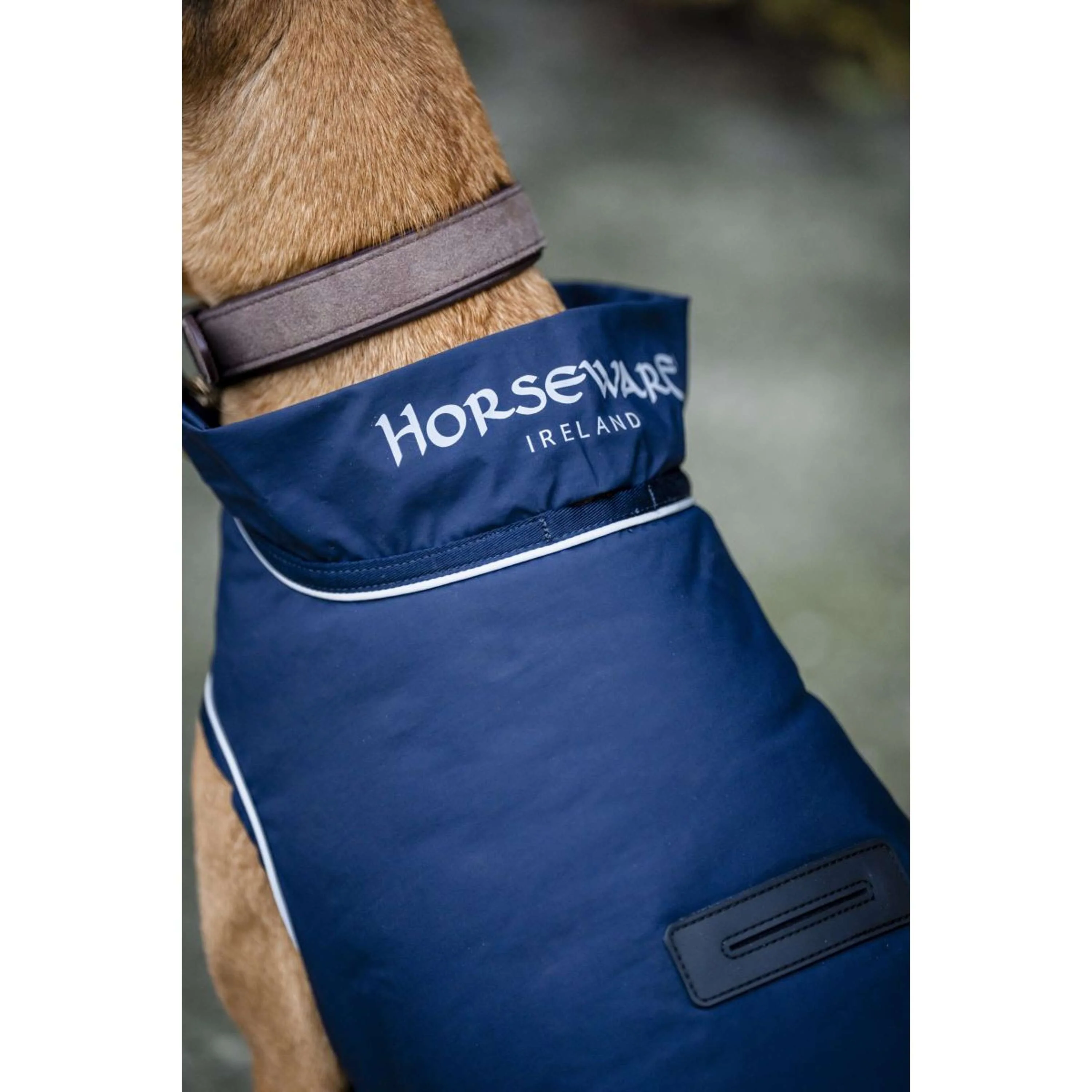 Horseware Couverture de Pluie pour Chien Signature 100g Marin - Image 2