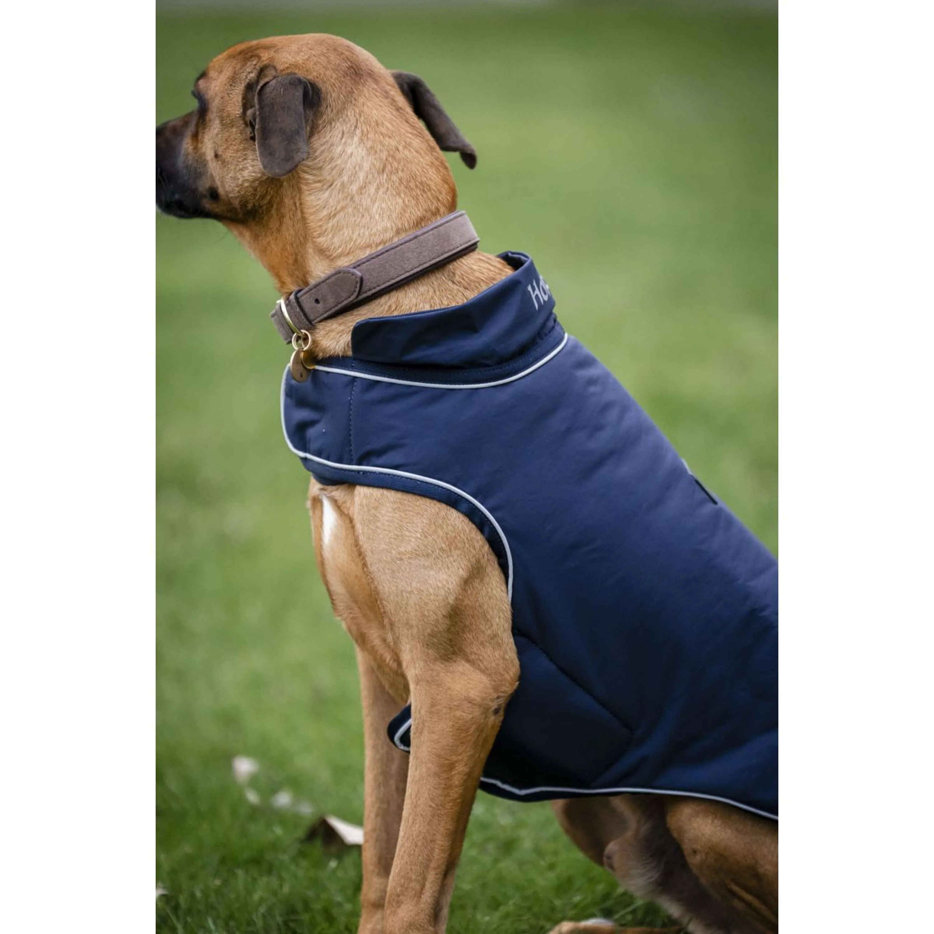 Horseware Couverture de Pluie pour Chien Signature 100g Marin - Image 5