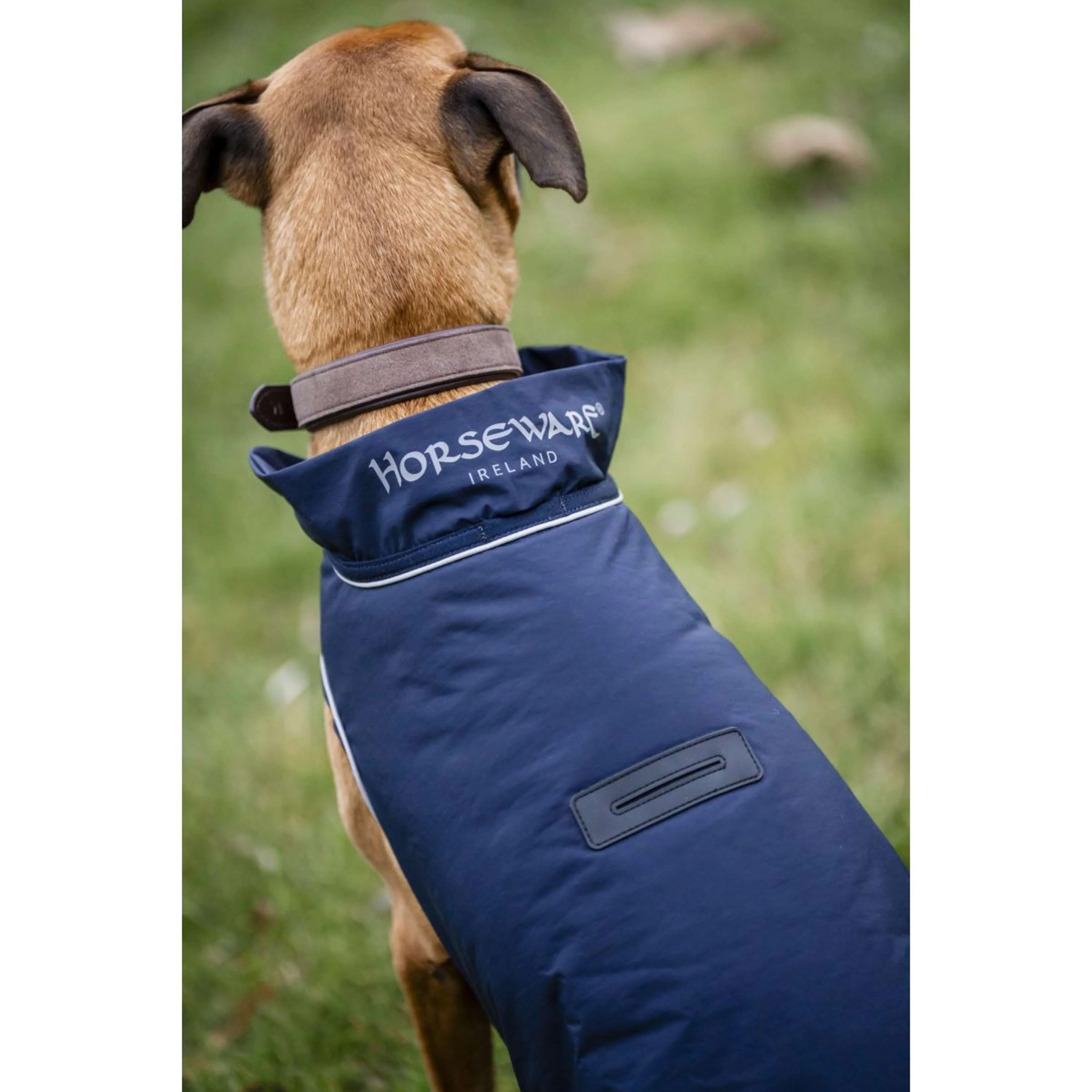 Horseware Couverture de Pluie pour Chien Signature 100g Marin - Image 6