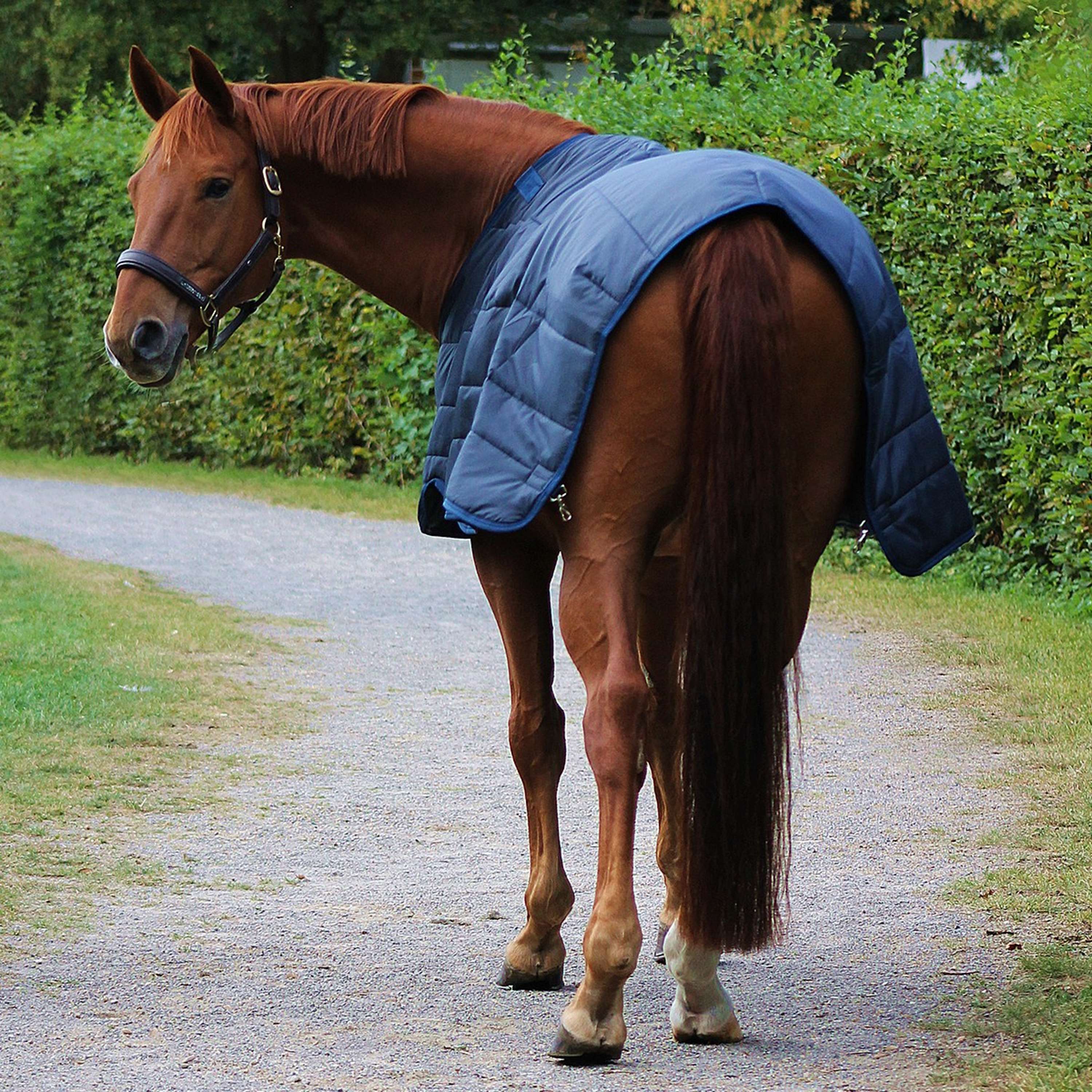 Horseware Couverture Liner 100g Marin - Image 5