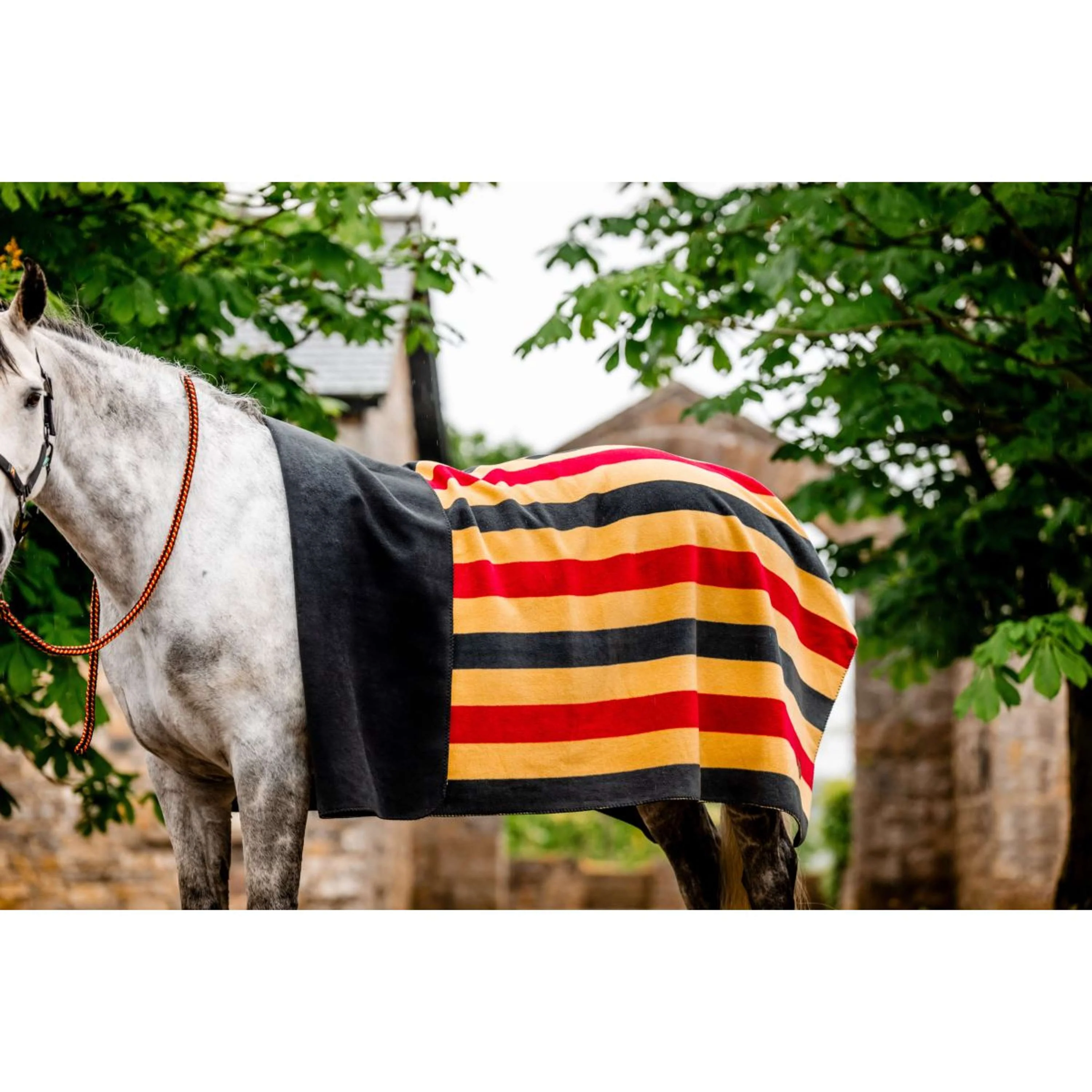 Horseware Couverture Polaire Newmarket Witney Gold - Image 2