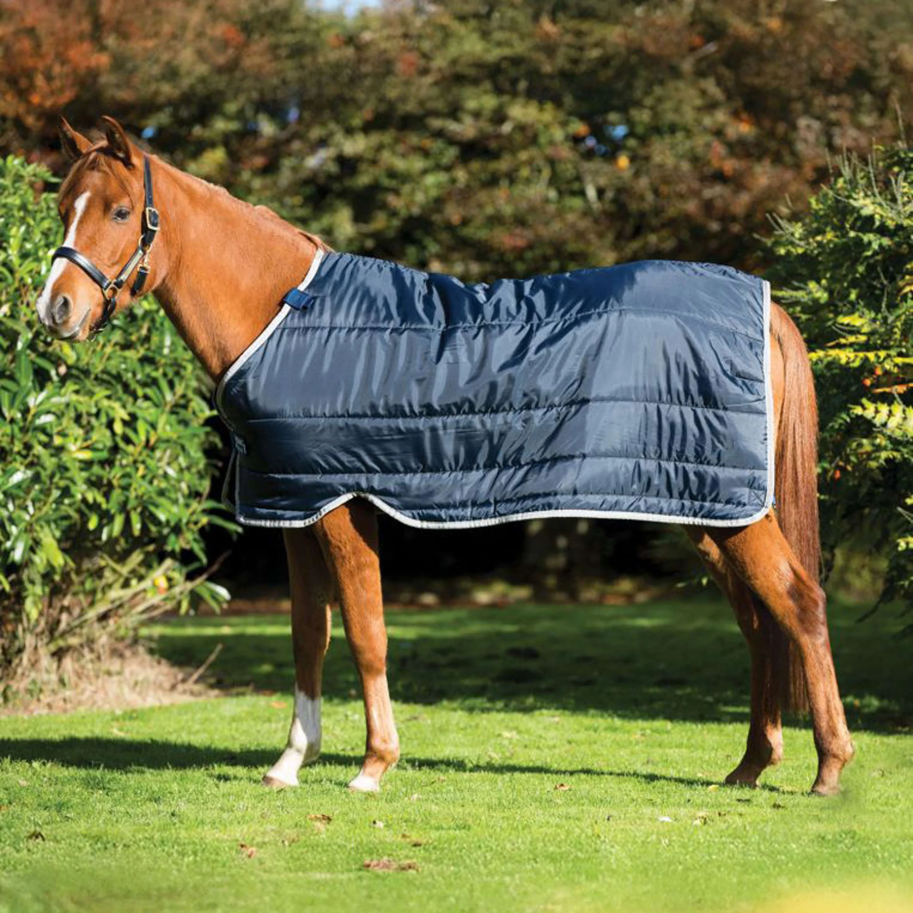 Horseware Couverture Pony 300g Marin/Argente - Image 2