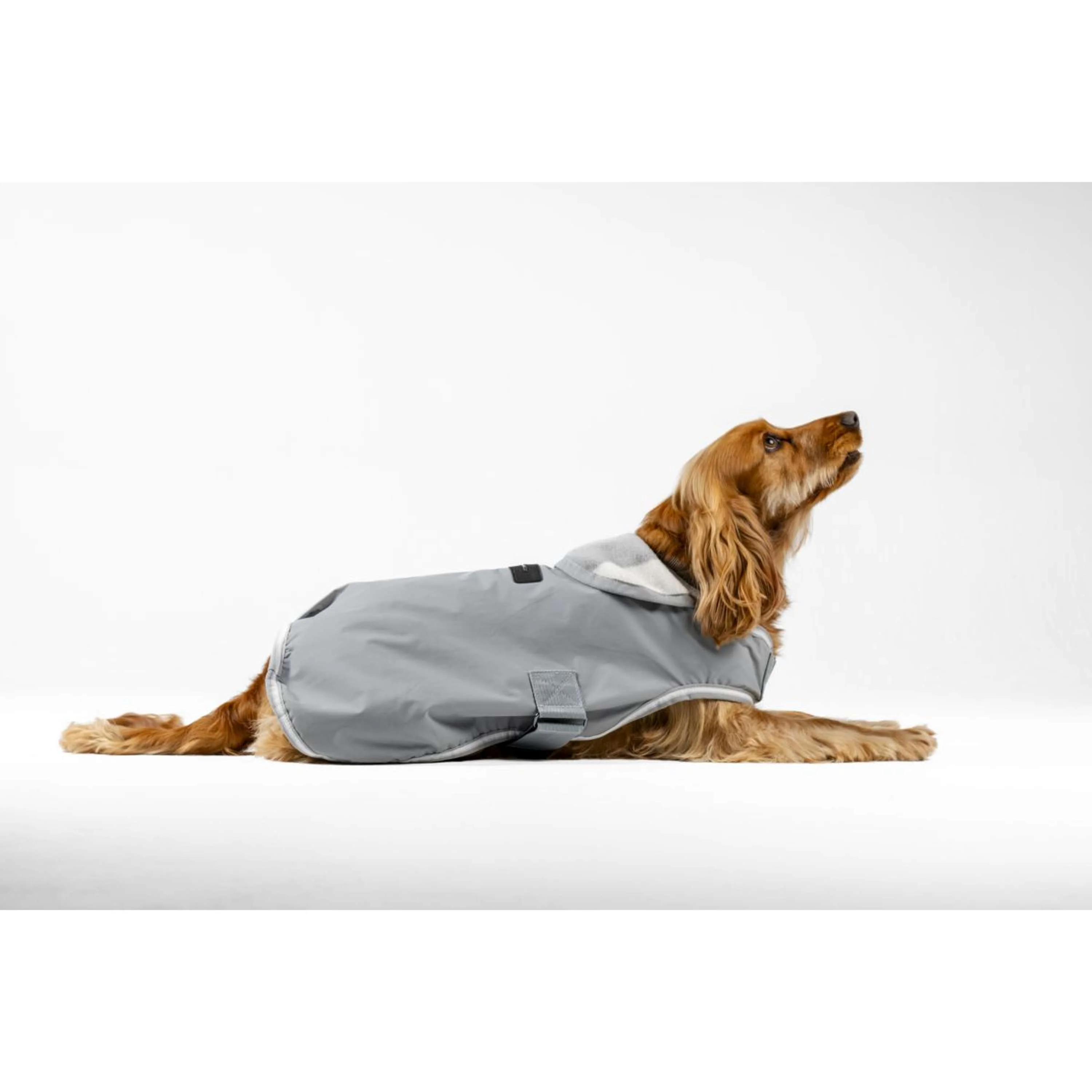 Horseware Couverture pour Chien Newmarket Witney Charcoal - Image 2