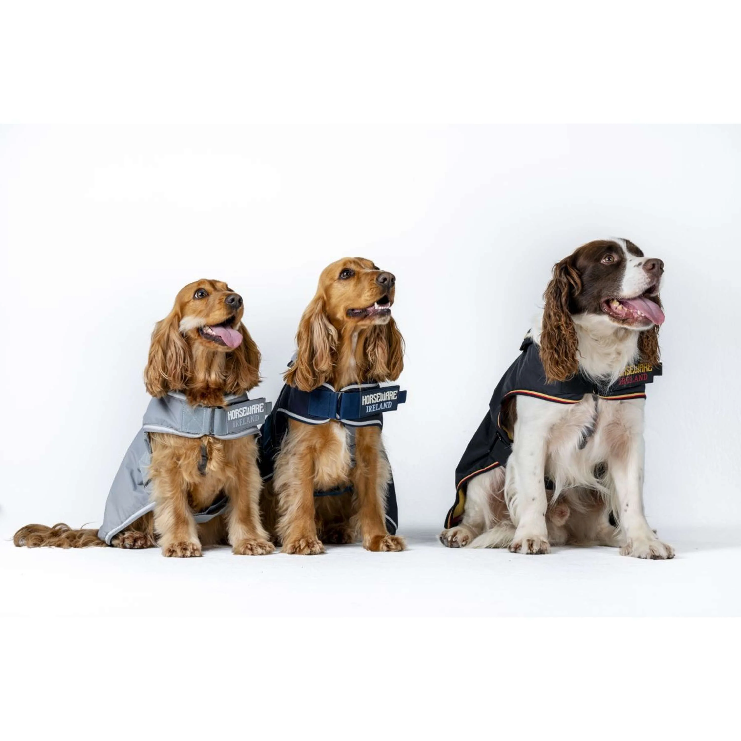 Horseware Couverture pour Chien Newmarket Witney Navy - Image 3