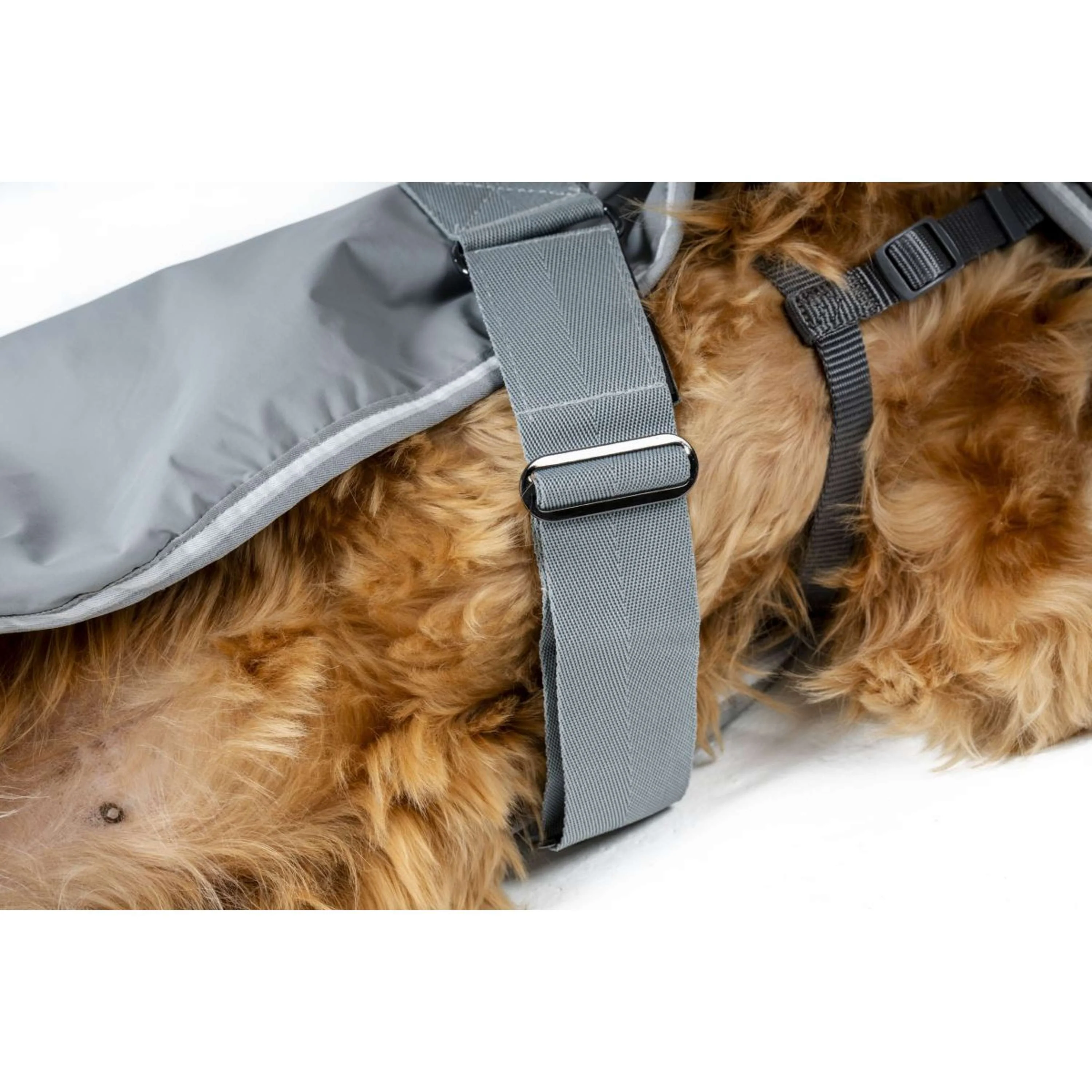 Horseware Couverture pour Chien Newmarket Witney Charcoal - Image 5