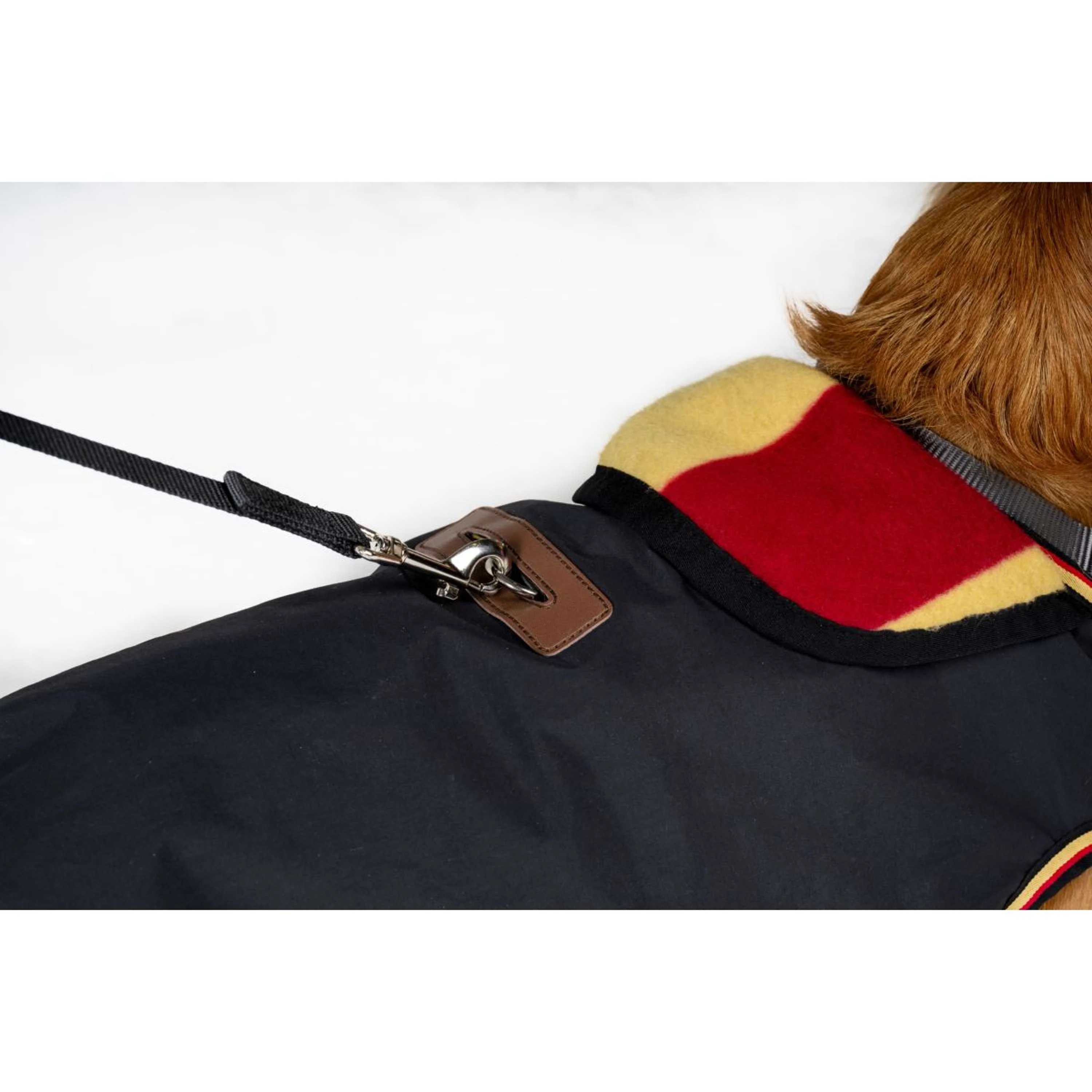 Horseware Couverture pour Chien Newmarket Witney Gold - Image 3