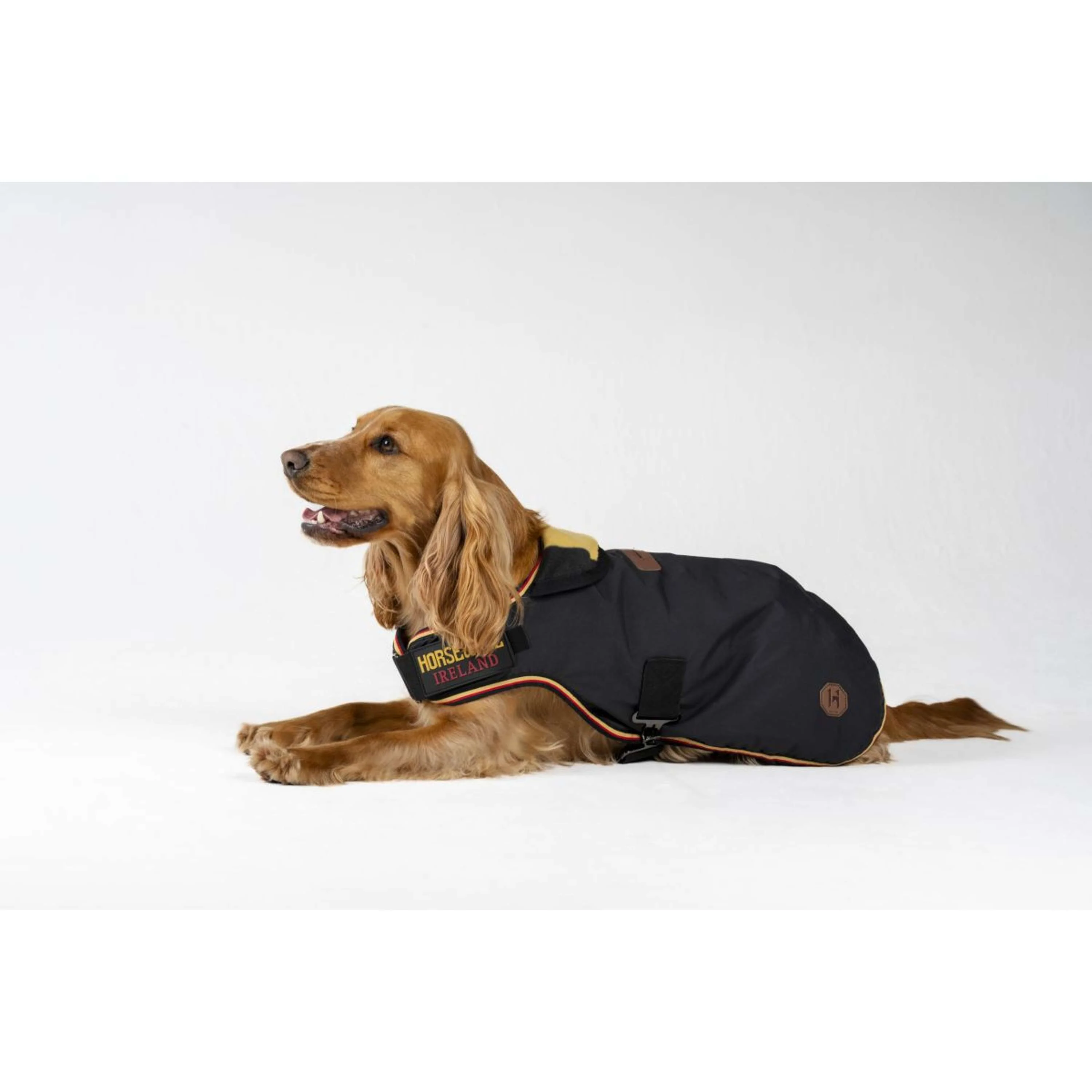 Horseware Couverture pour Chien Newmarket Witney Gold - Image 4