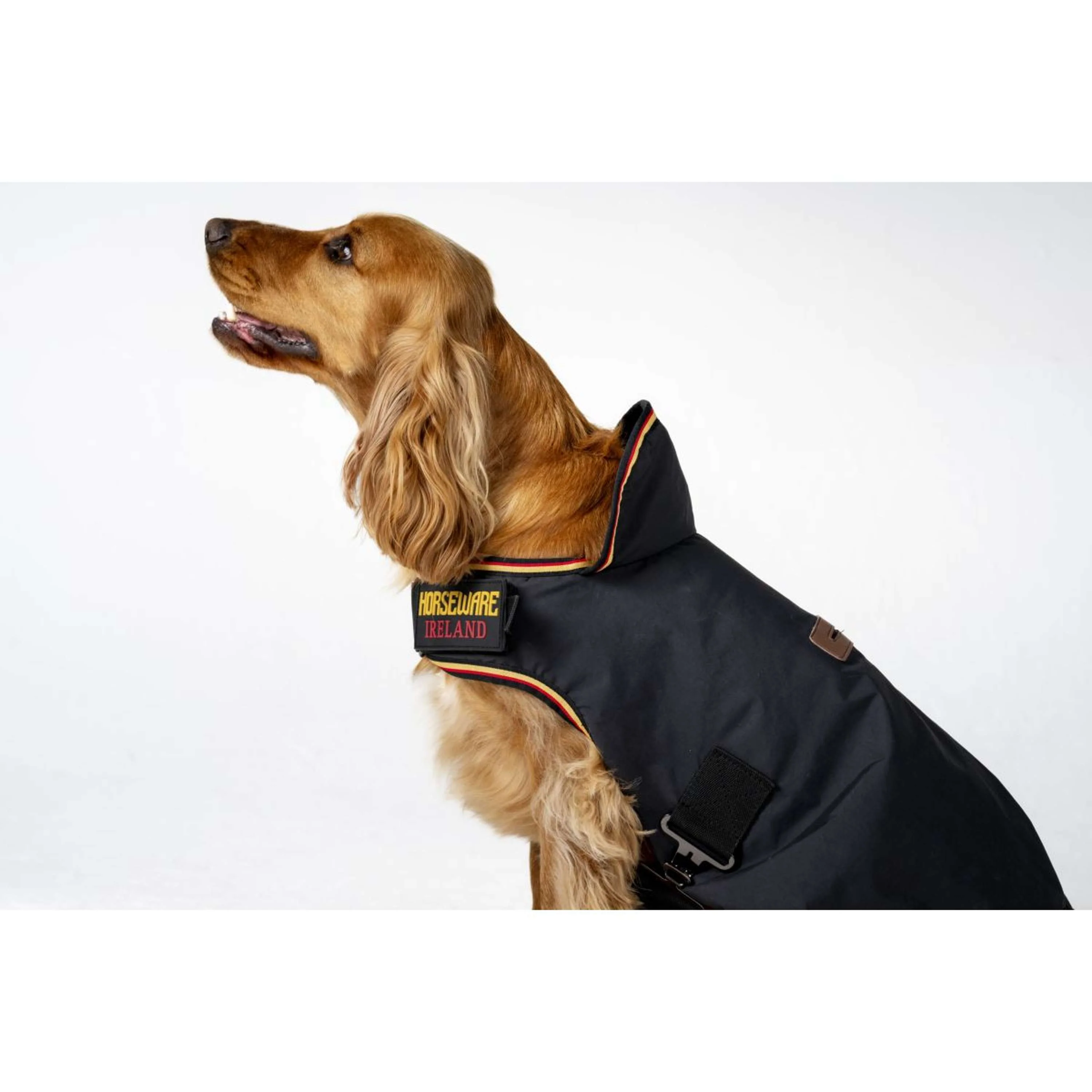 Horseware Couverture pour Chien Newmarket Witney Gold - Image 5