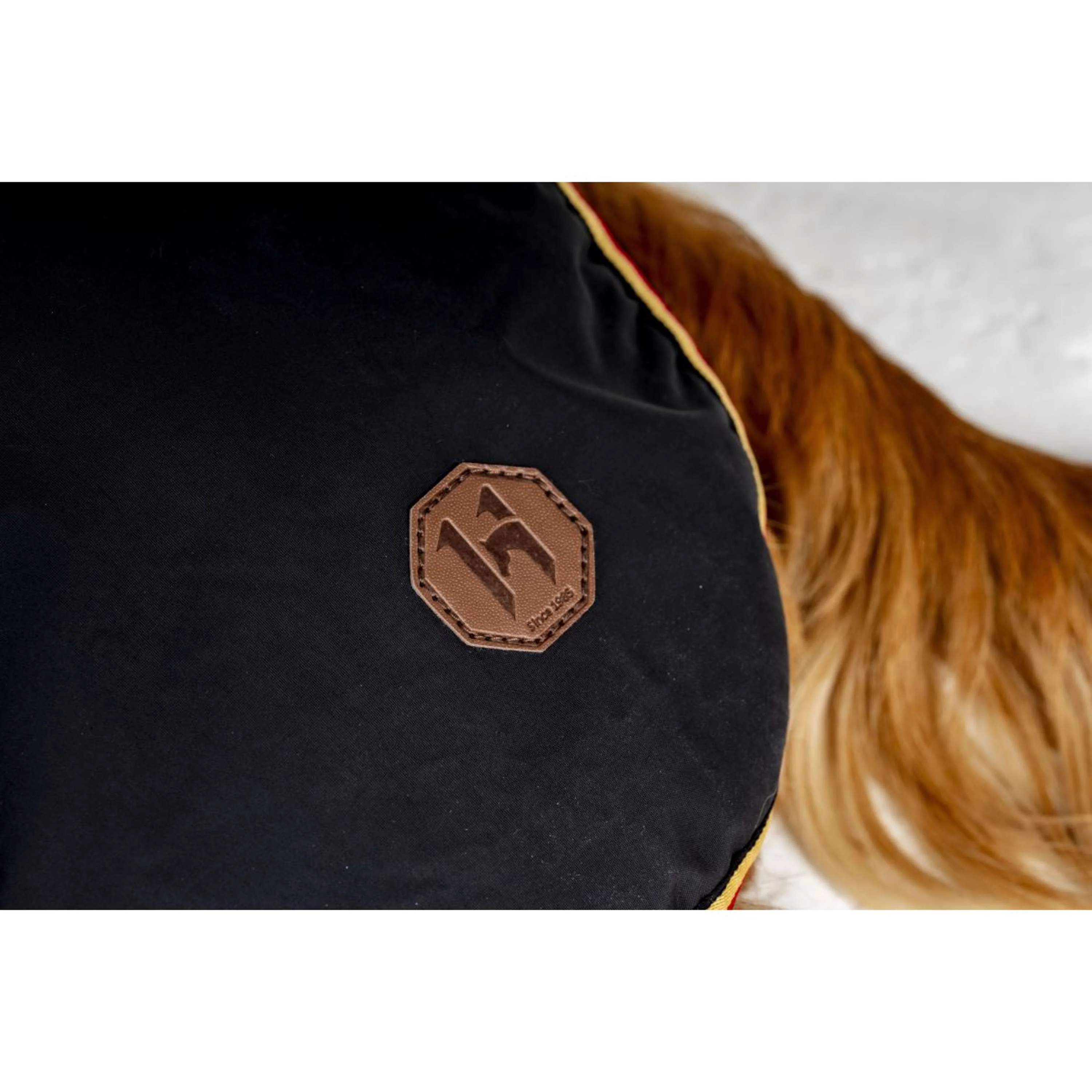Horseware Couverture pour Chien Newmarket Witney Gold - Image 6