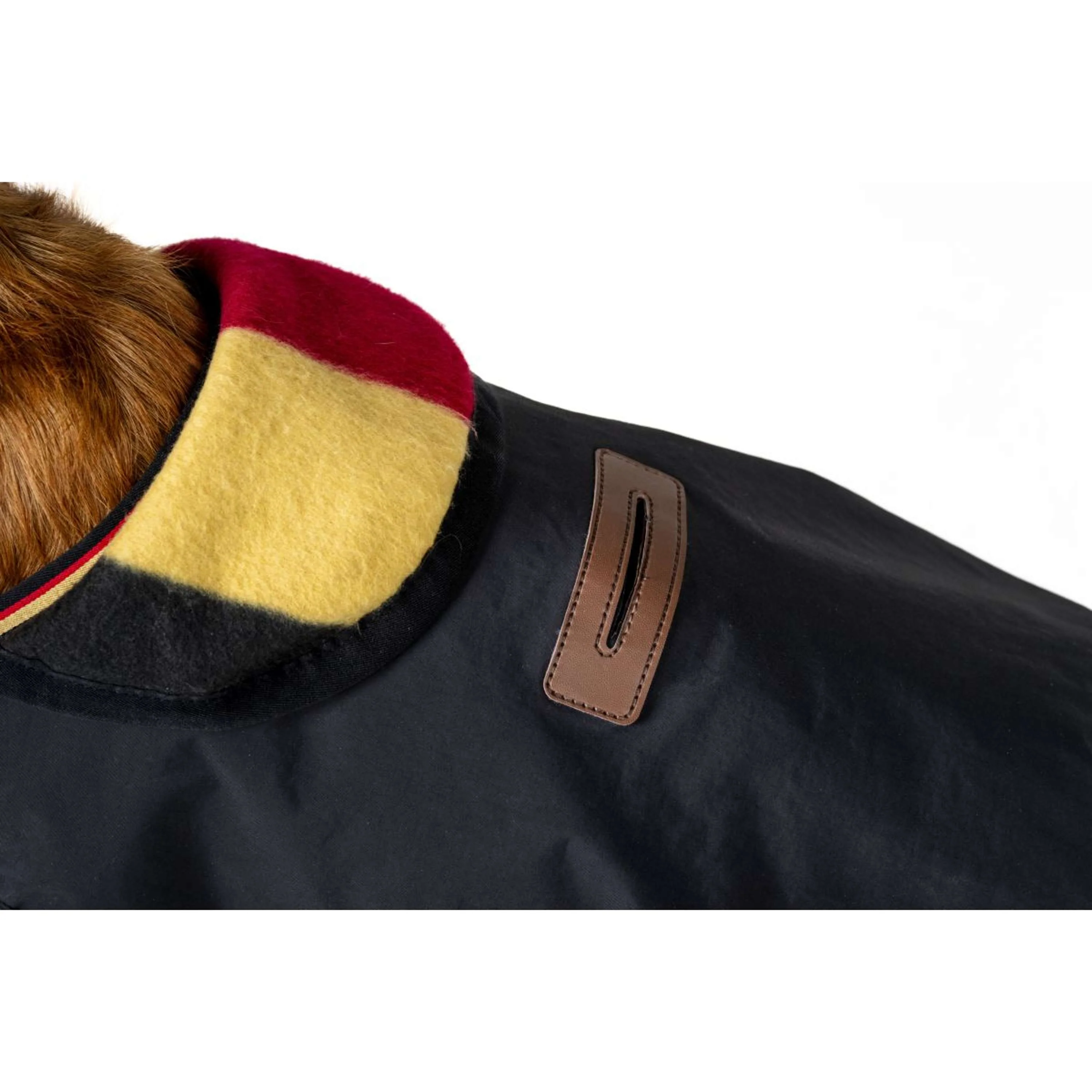 Horseware Couverture pour Chien Newmarket Witney Gold - Image 7